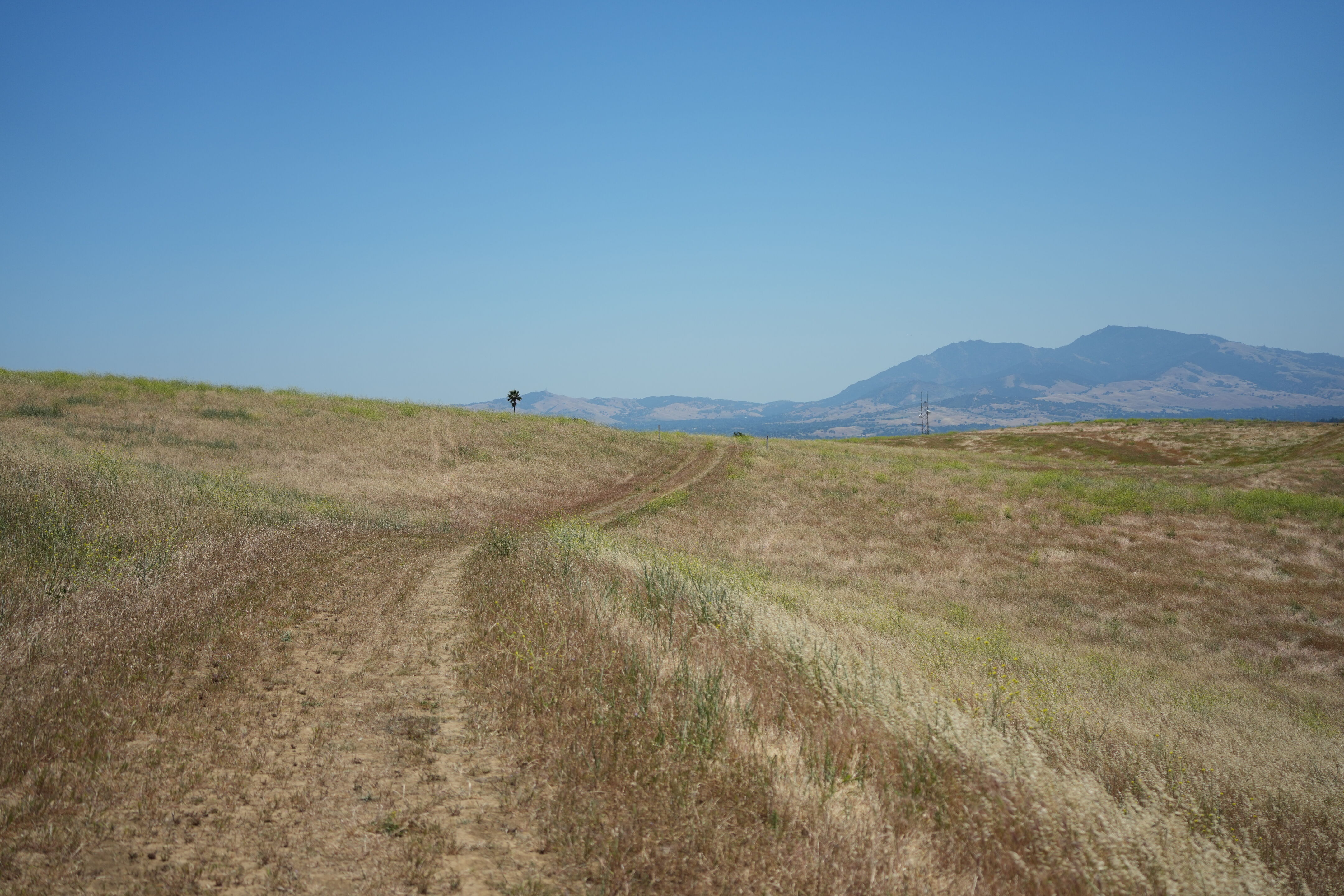 Carquinez Strait Regional Shoreline