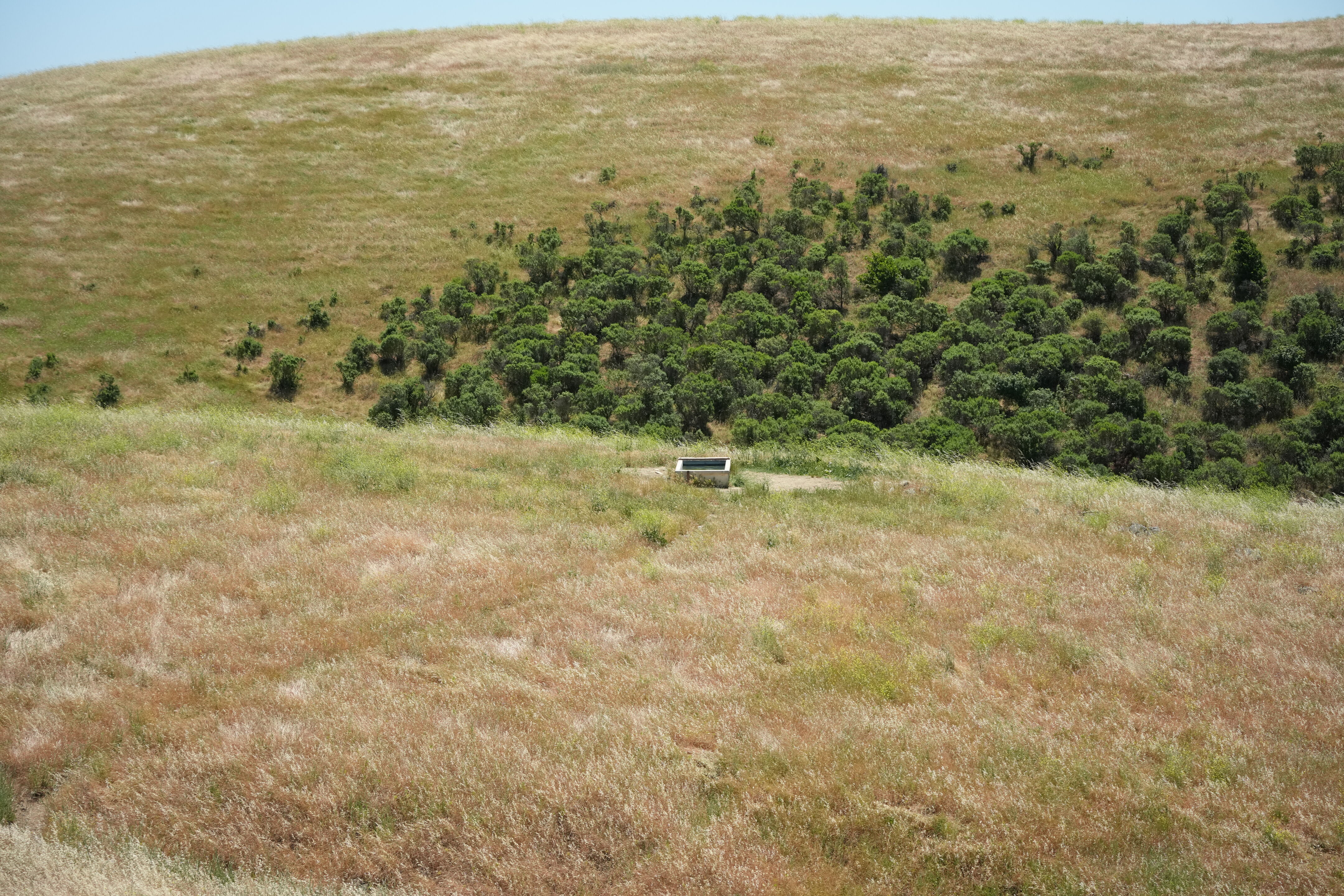 Carquinez Strait Regional Shoreline