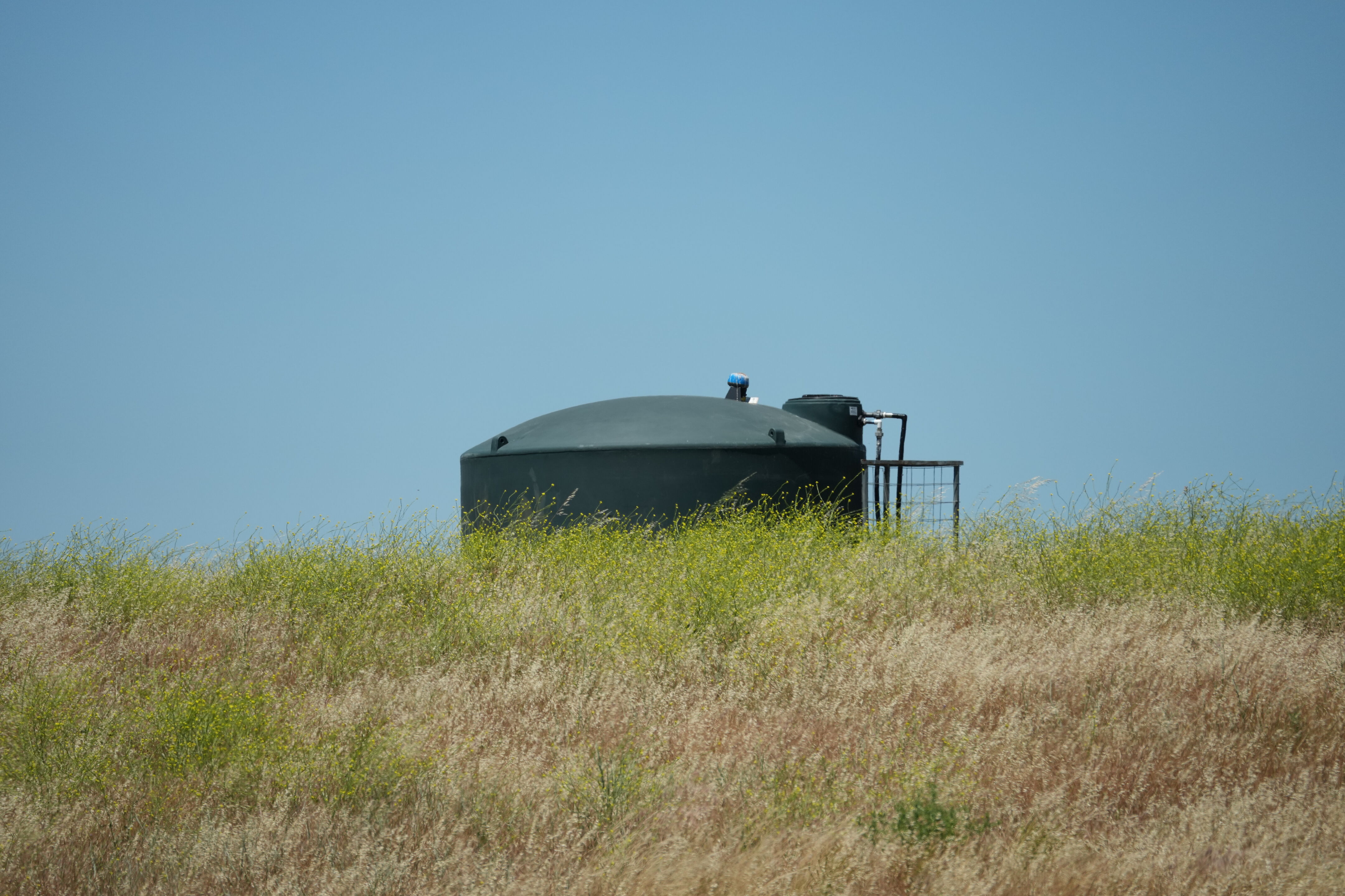 Carquinez Strait Regional Shoreline