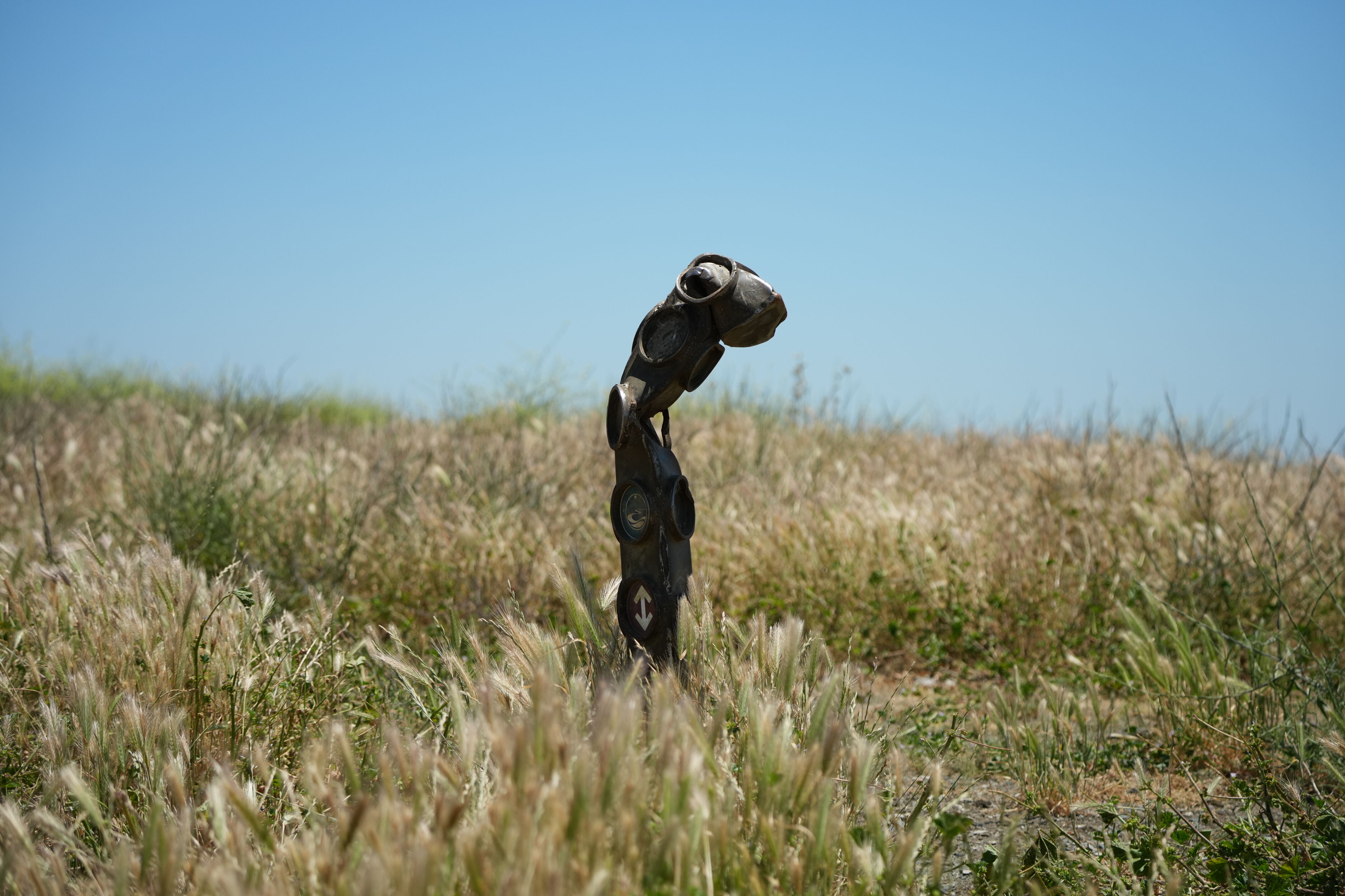 Carquinez Strait Regional Shoreline
