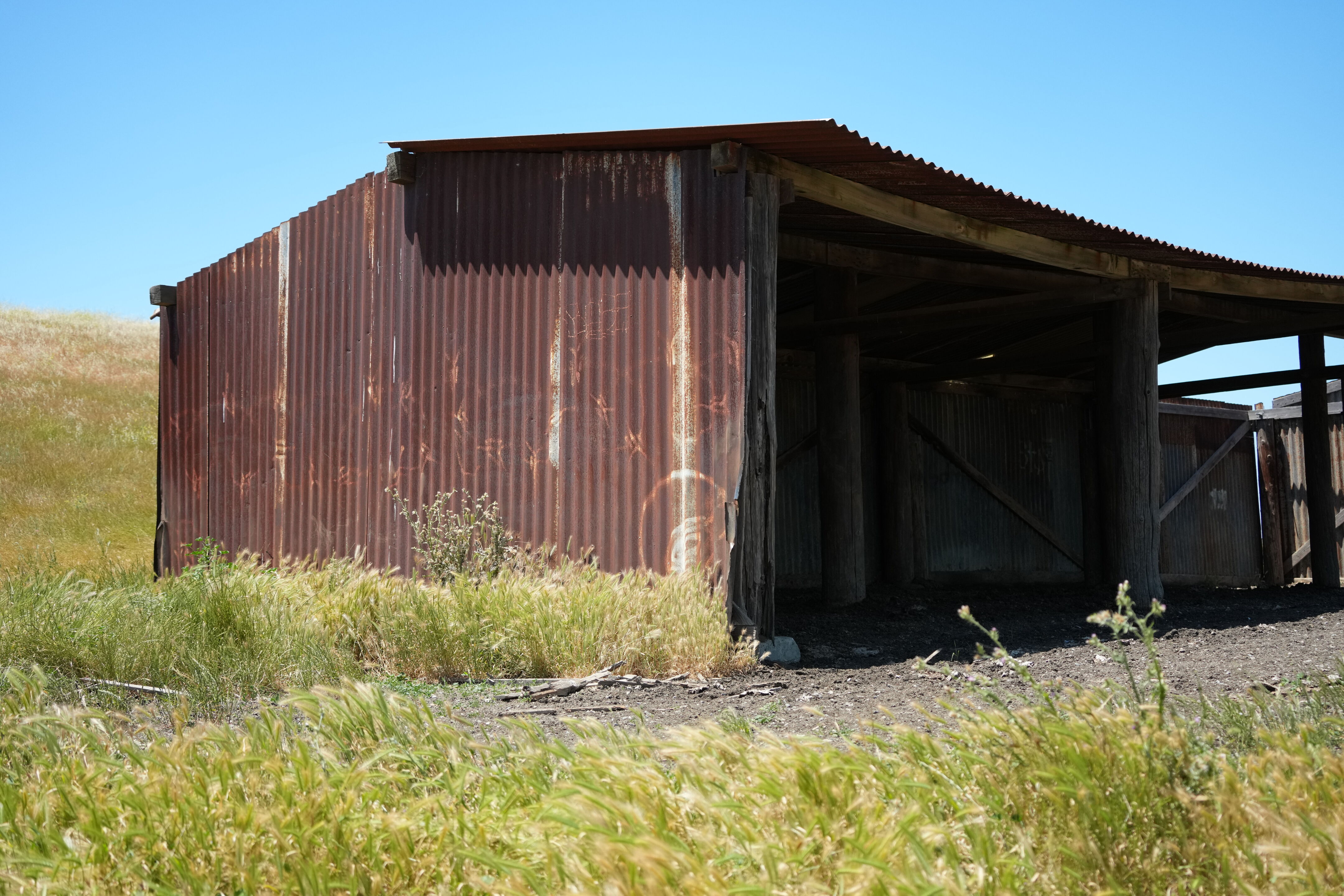 Carquinez Strait Regional Shoreline