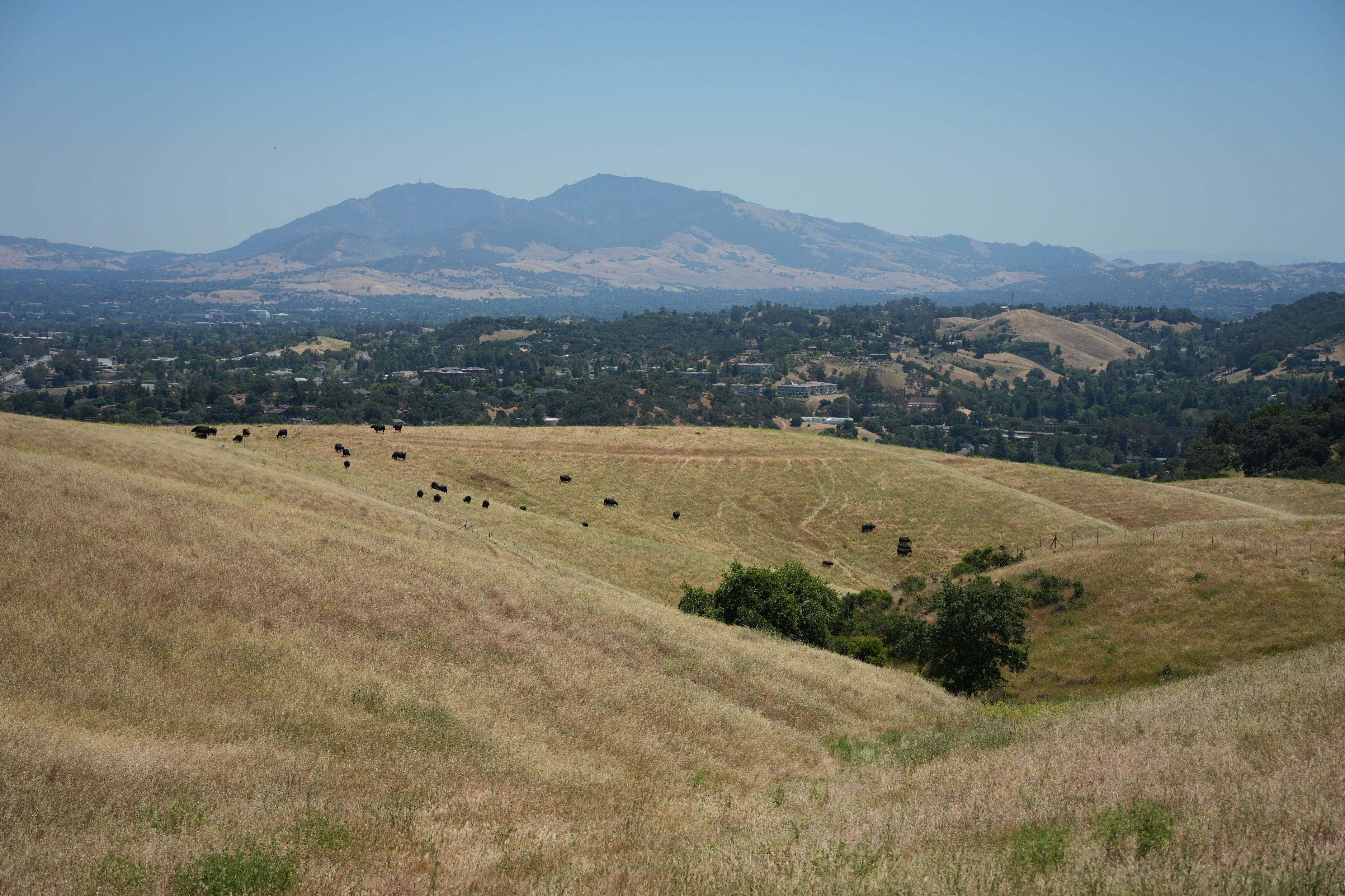 Carquinez Strait Regional Shoreline