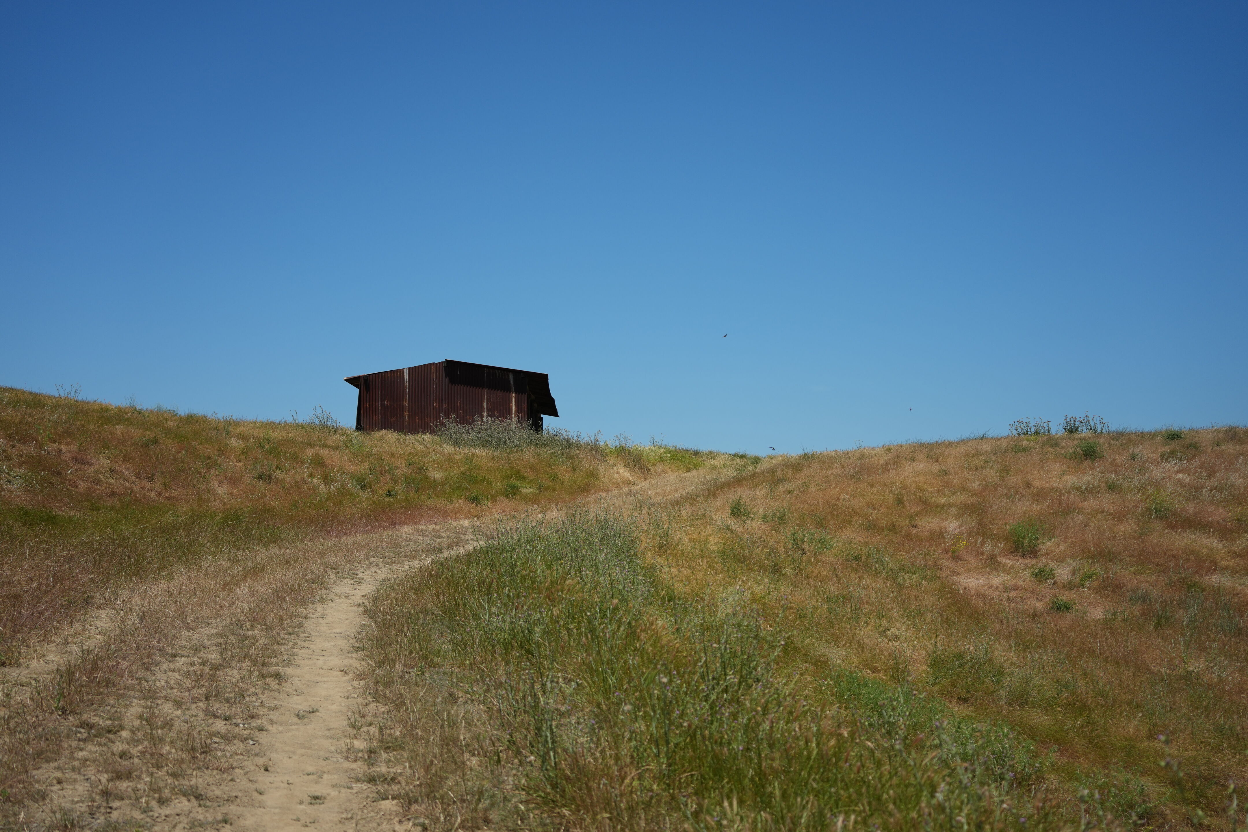 Carquinez Strait Regional Shoreline