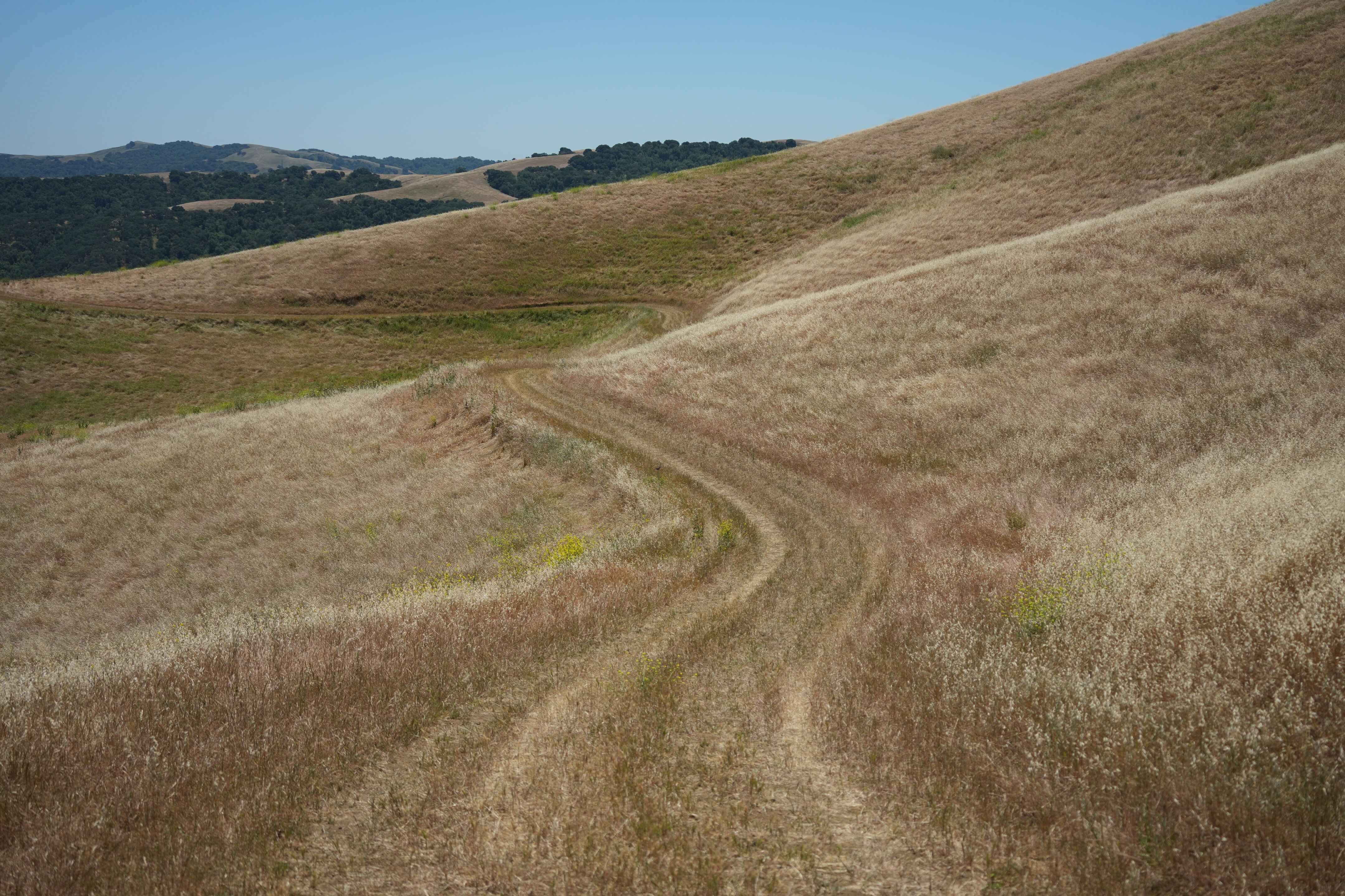 Carquinez Strait Regional Shoreline