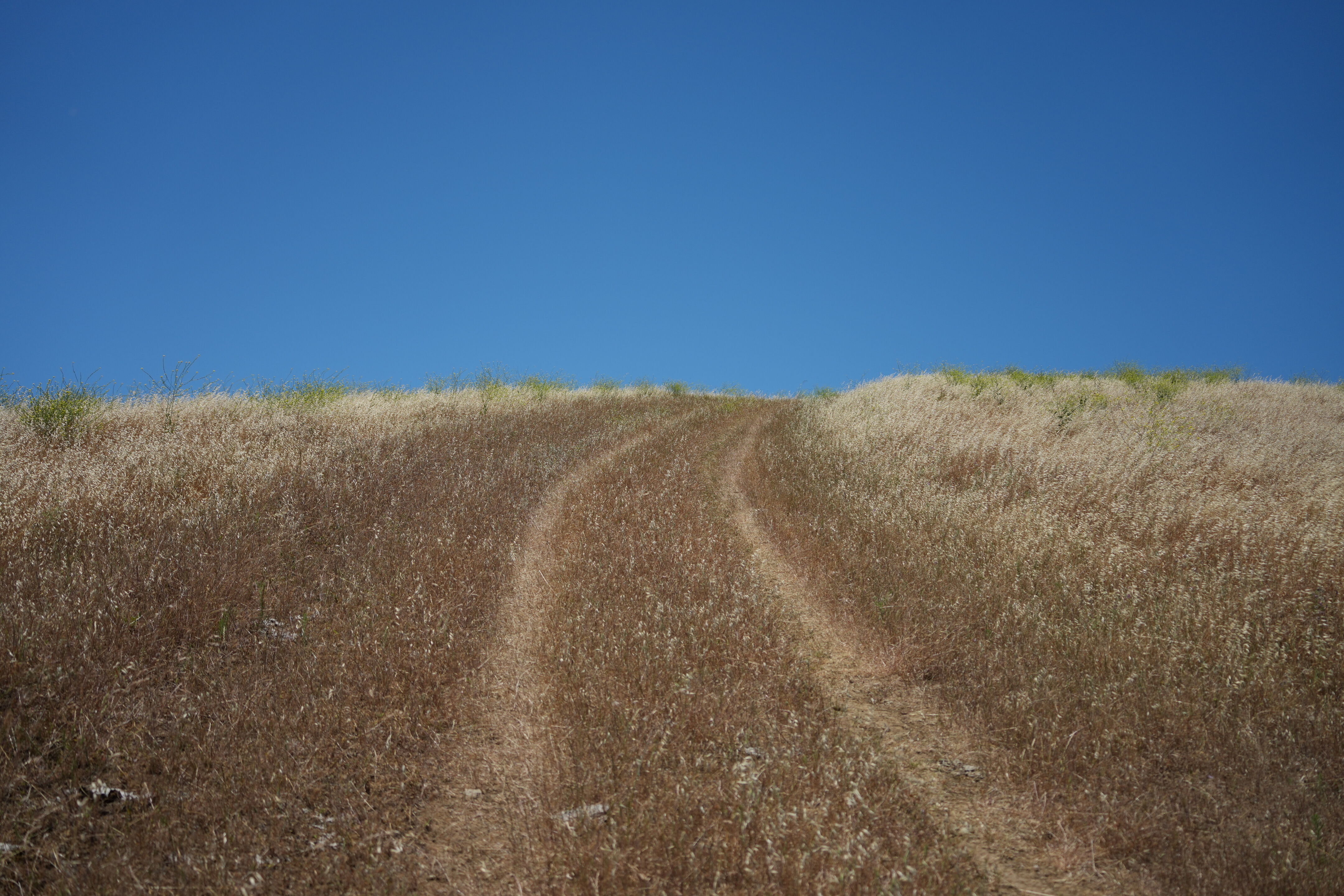 Carquinez Strait Regional Shoreline