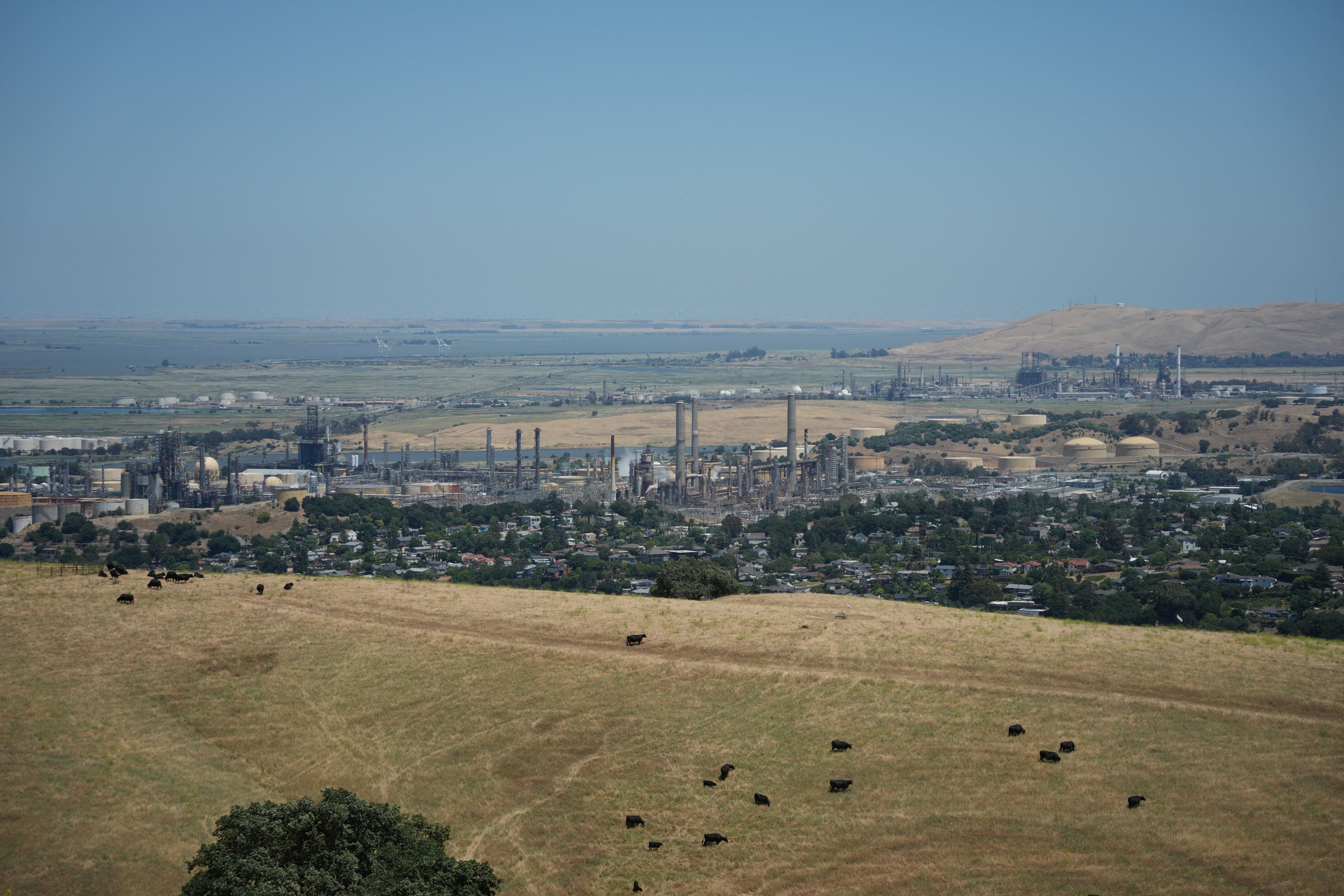 Carquinez Strait Regional Shoreline