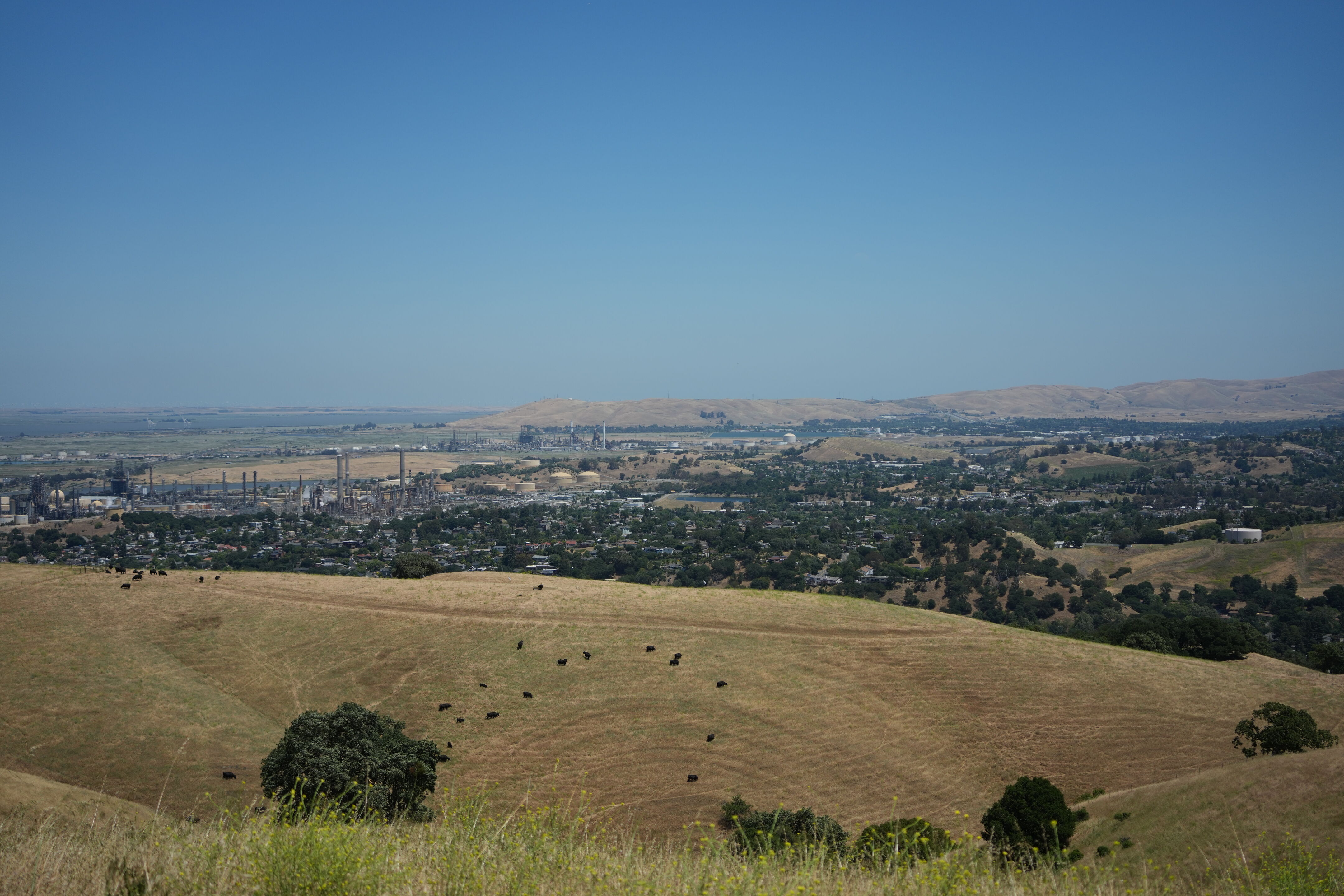 Carquinez Strait Regional Shoreline