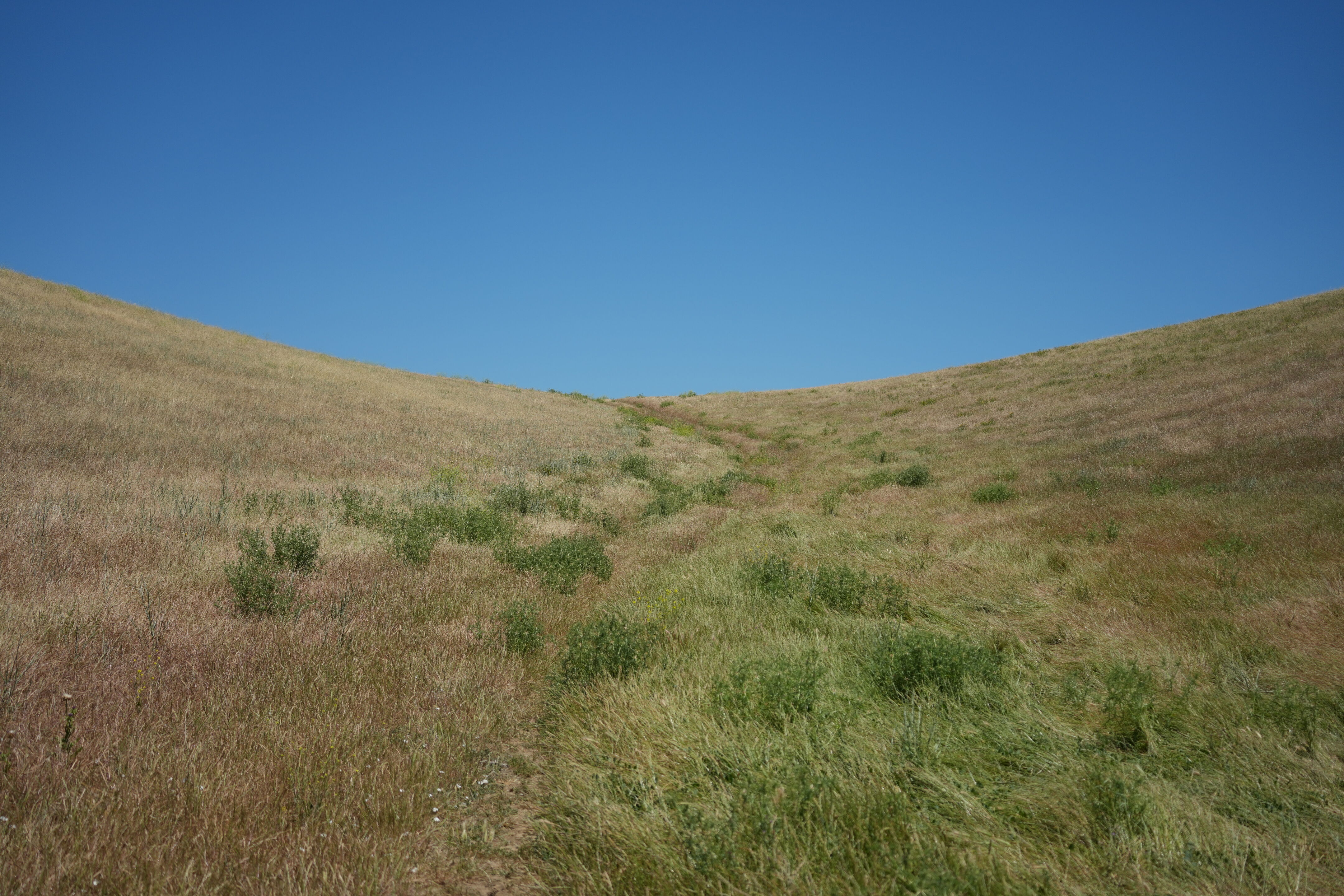 Carquinez Strait Regional Shoreline