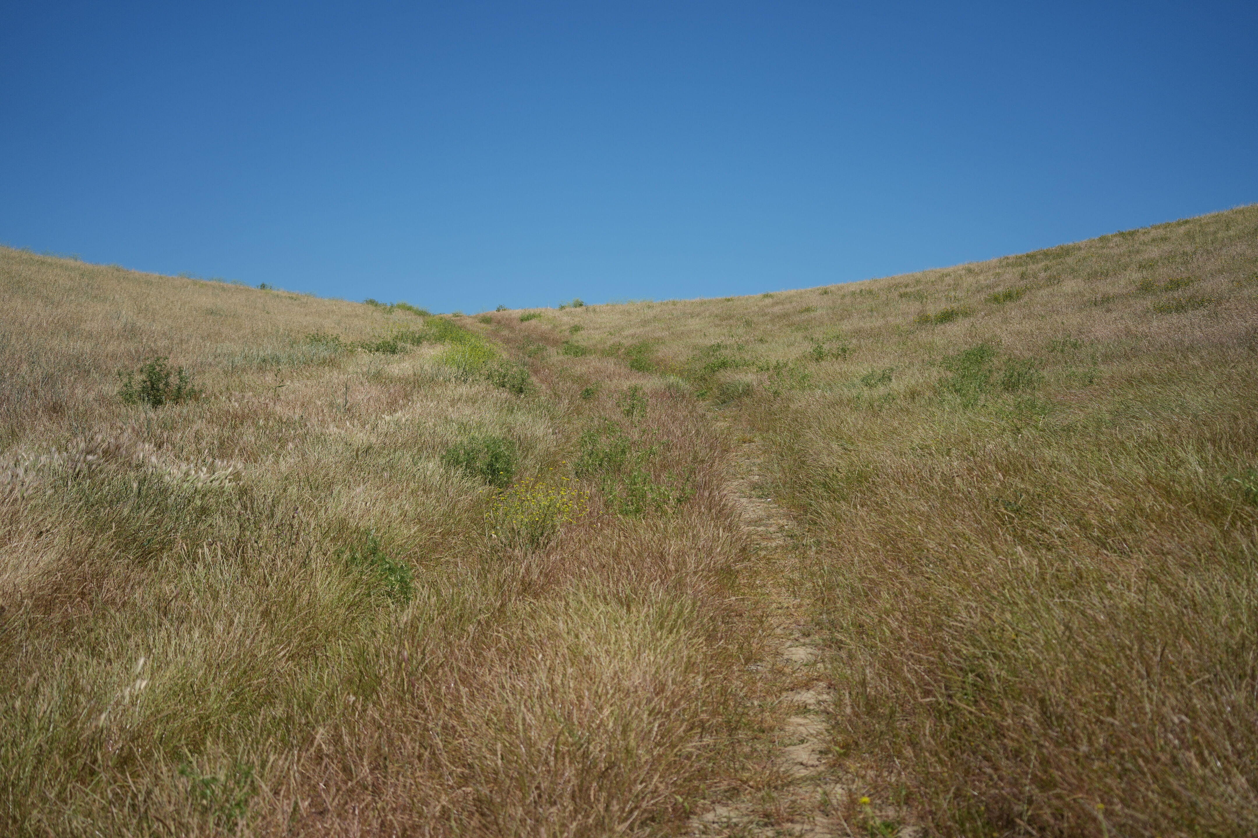 Carquinez Strait Regional Shoreline