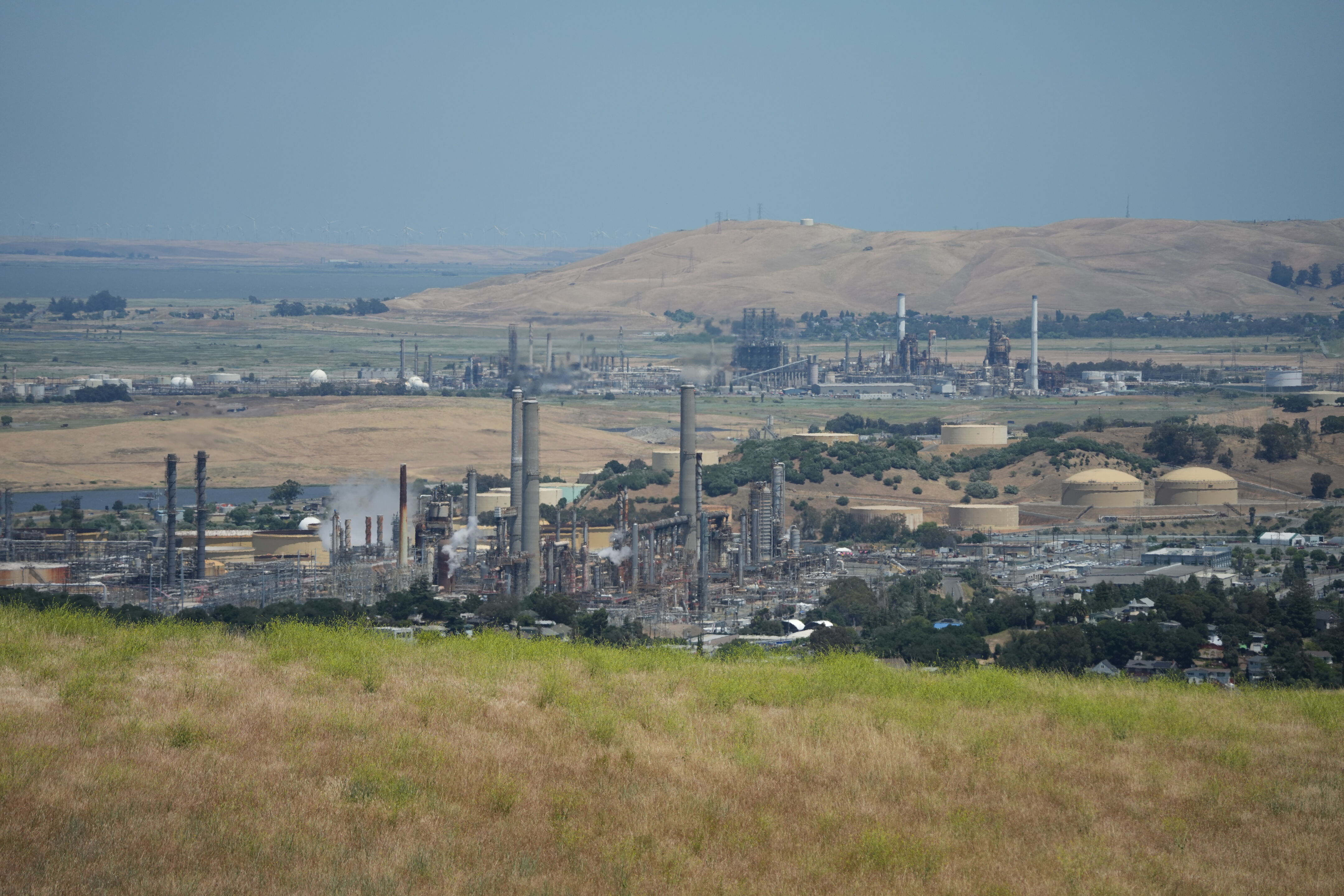 Carquinez Strait Regional Shoreline