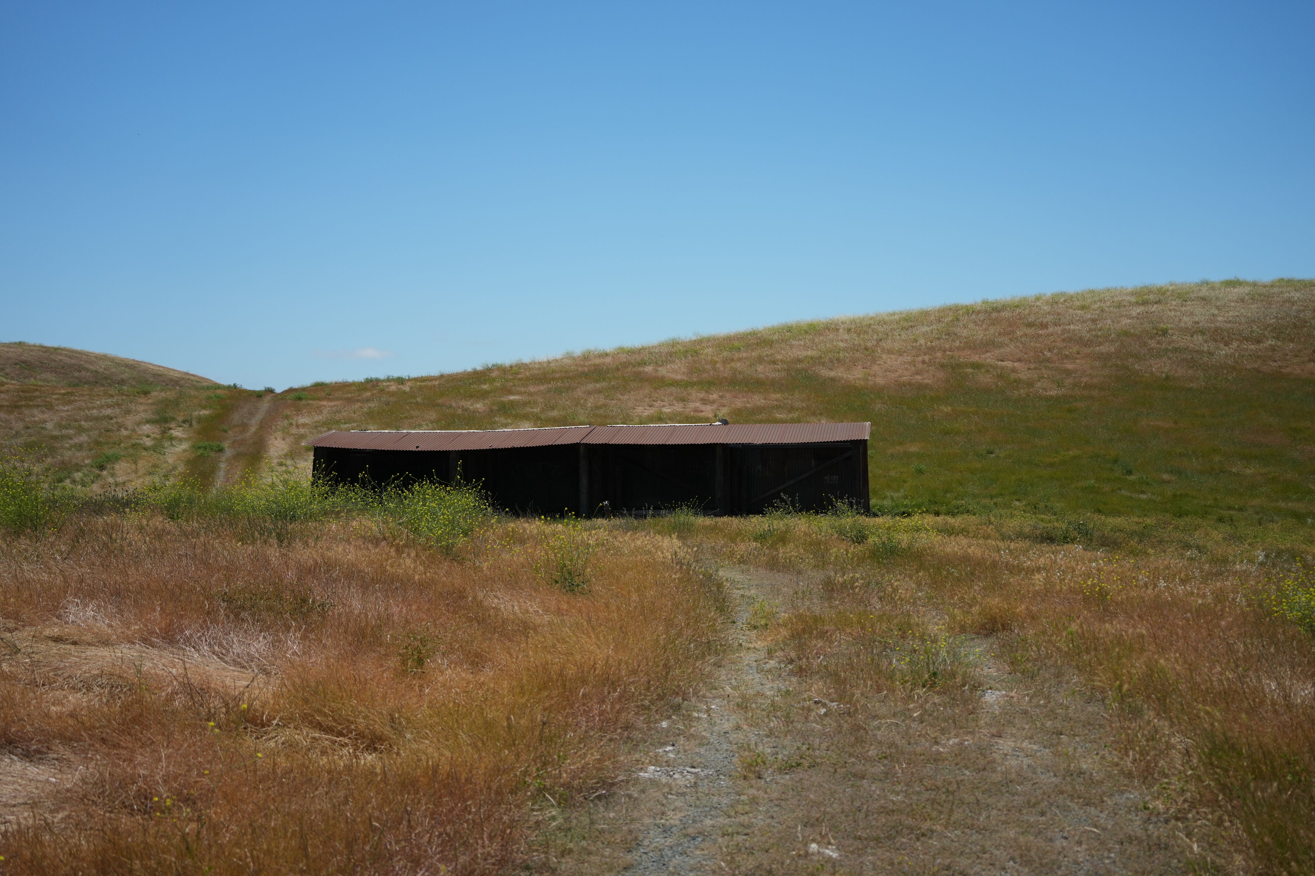 Carquinez Strait Regional Shoreline