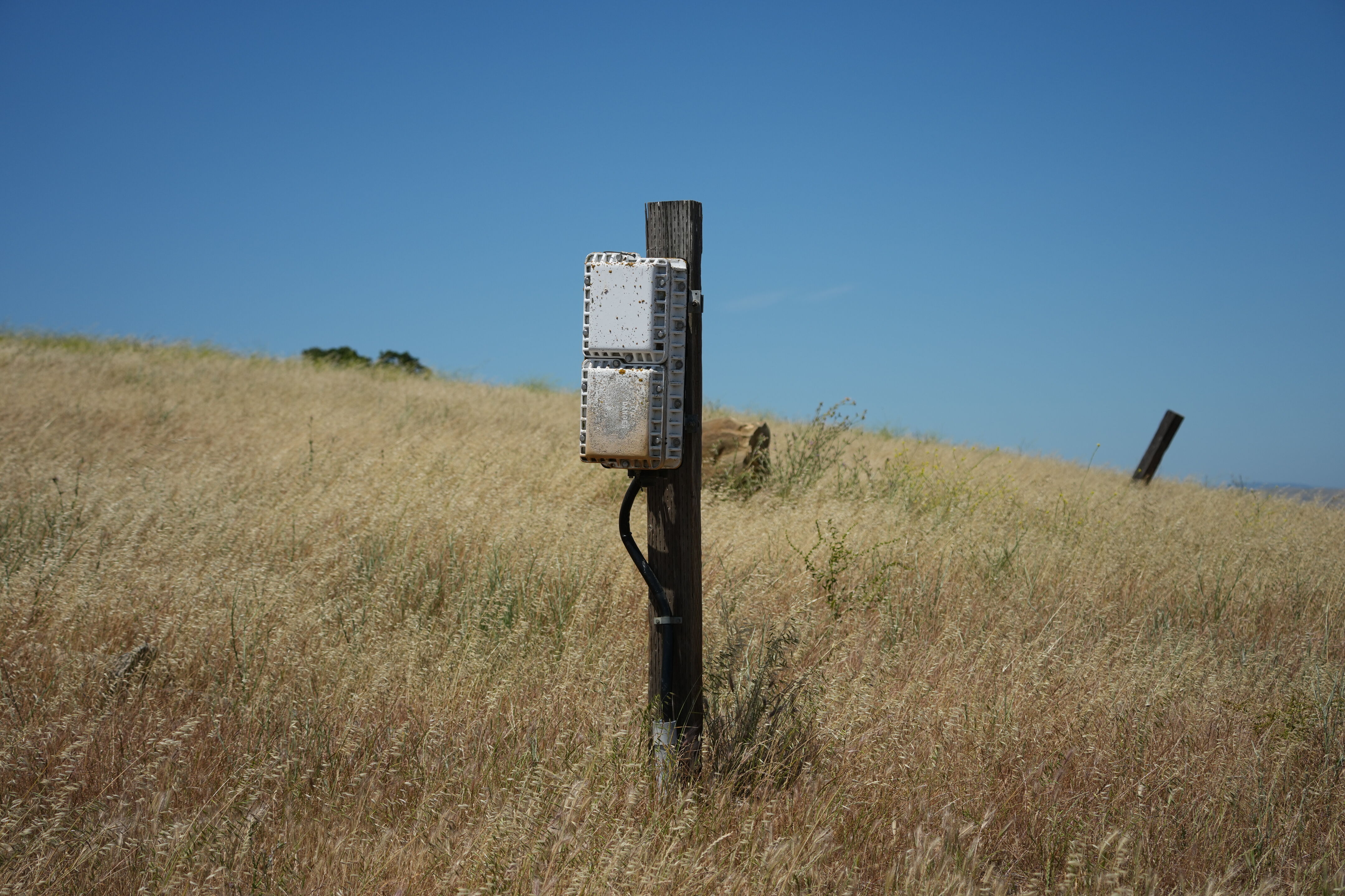 Carquinez Strait Regional Shoreline
