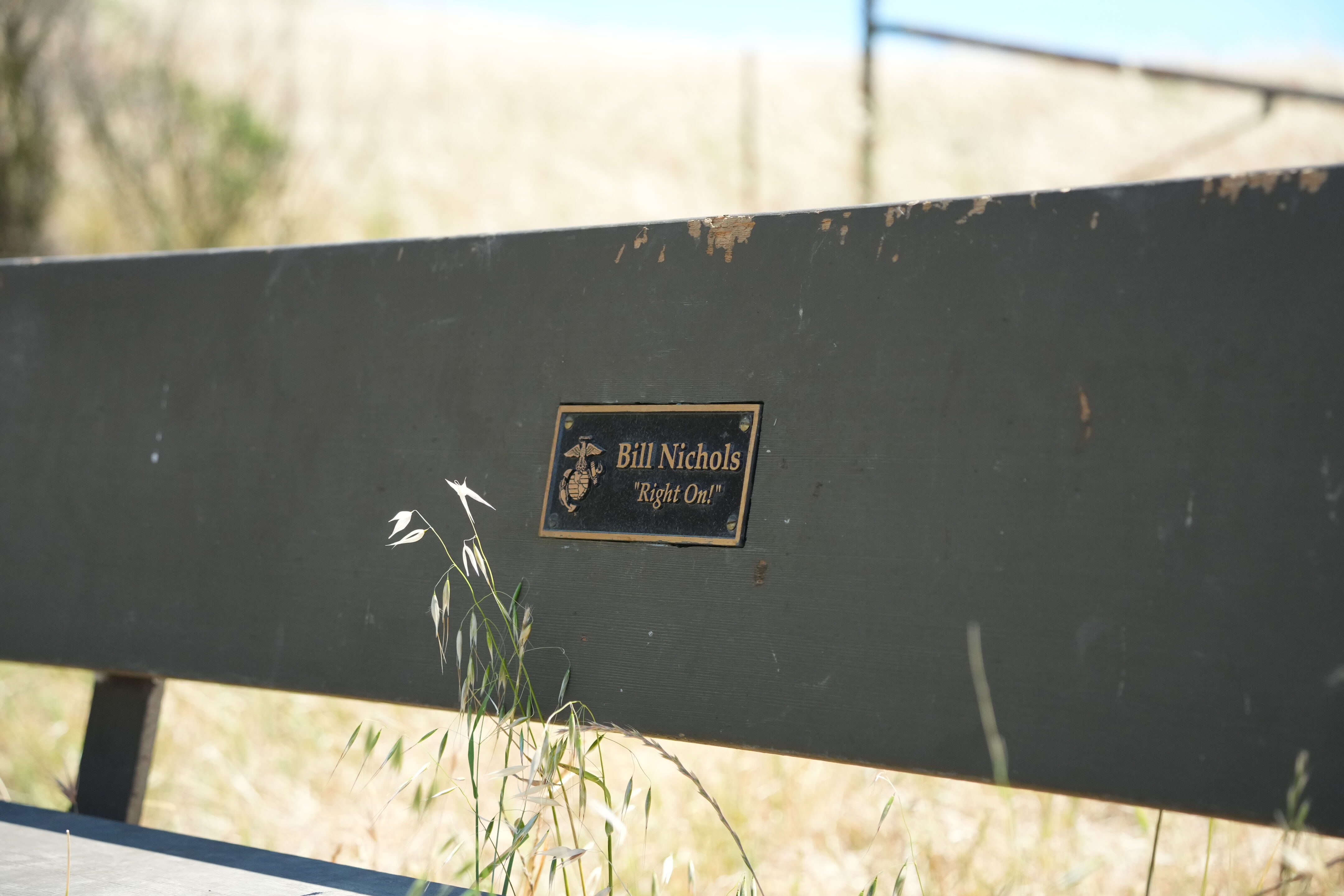 Carquinez Strait Regional Shoreline