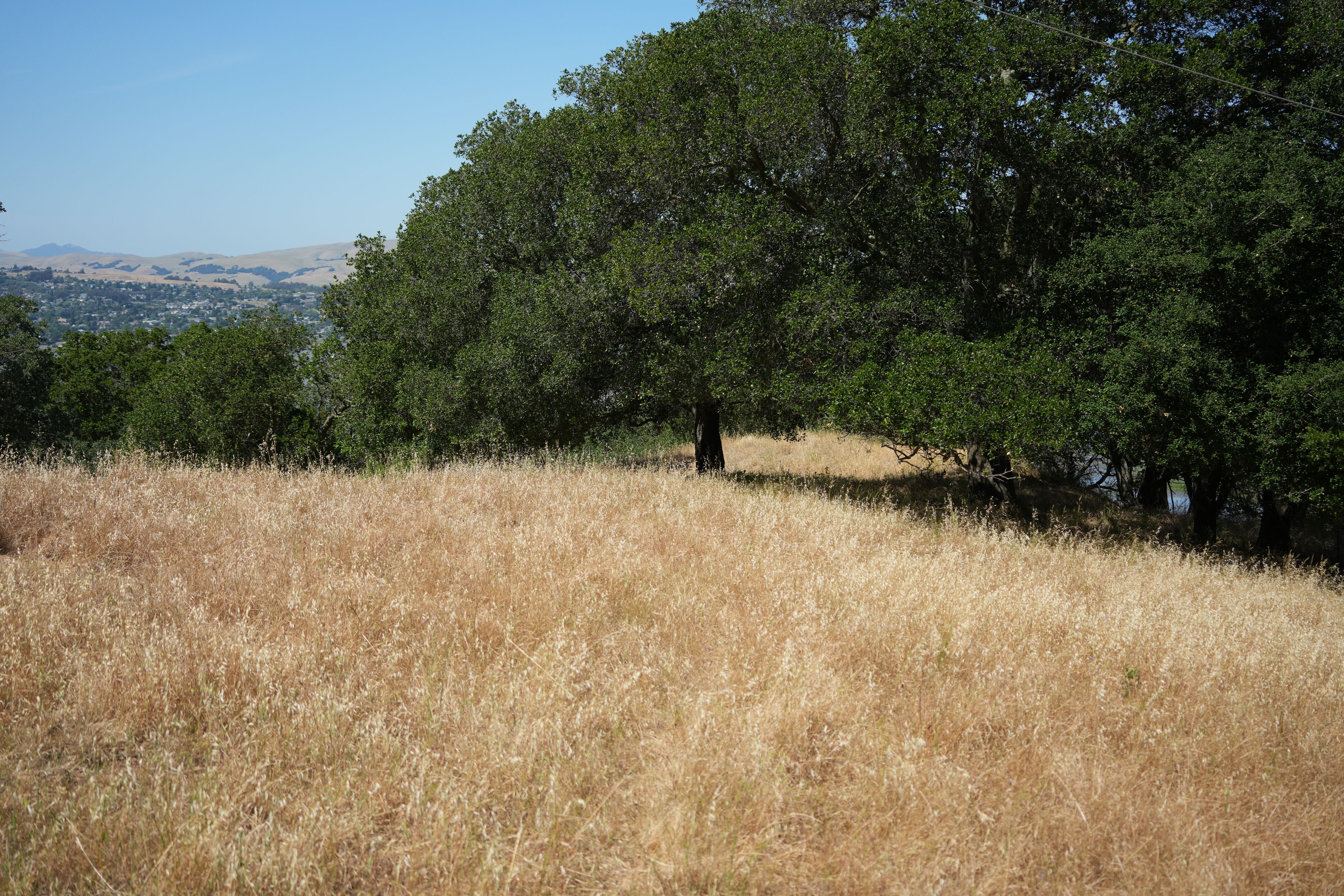 Carquinez Strait Regional Shoreline