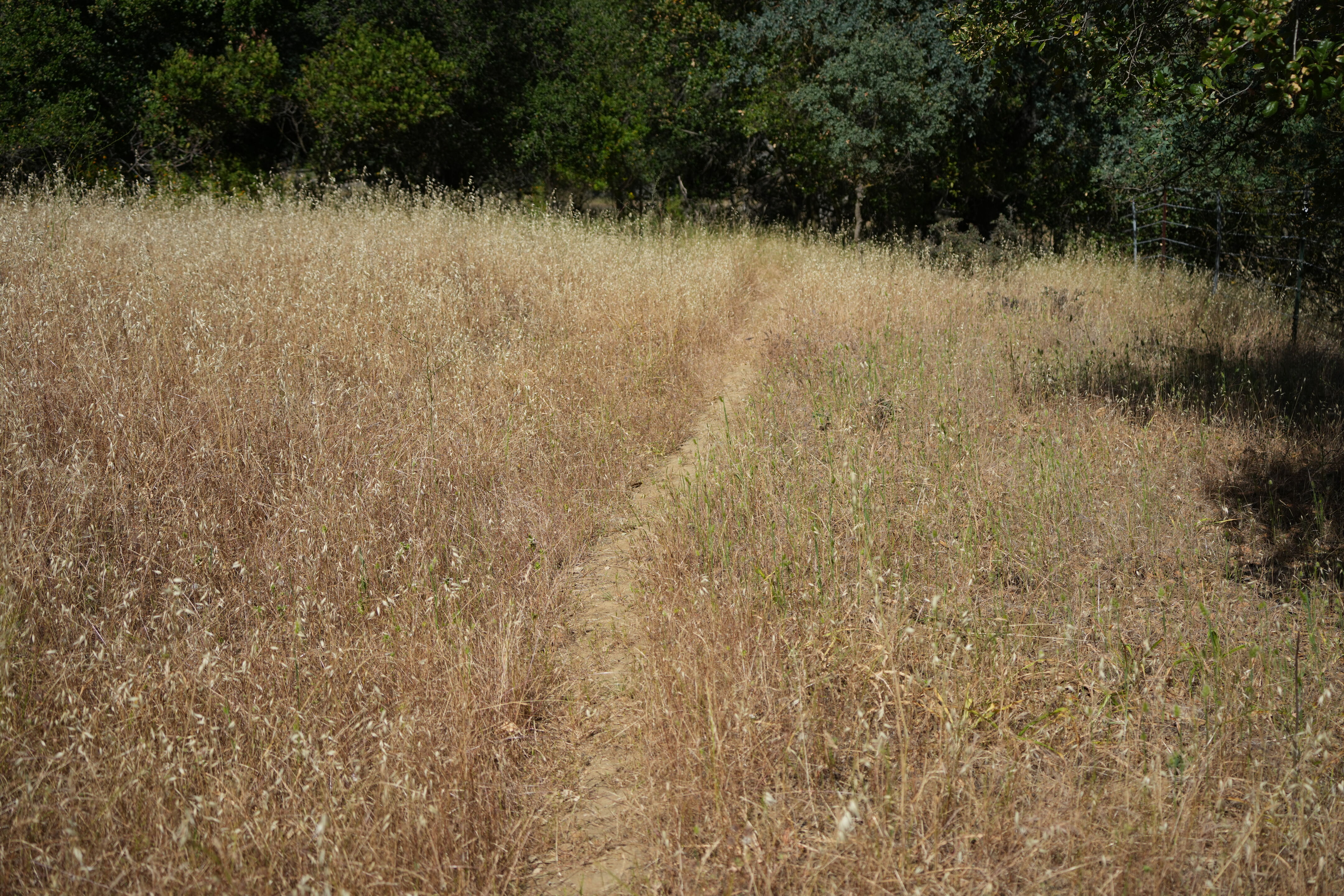 Carquinez Strait Regional Shoreline
