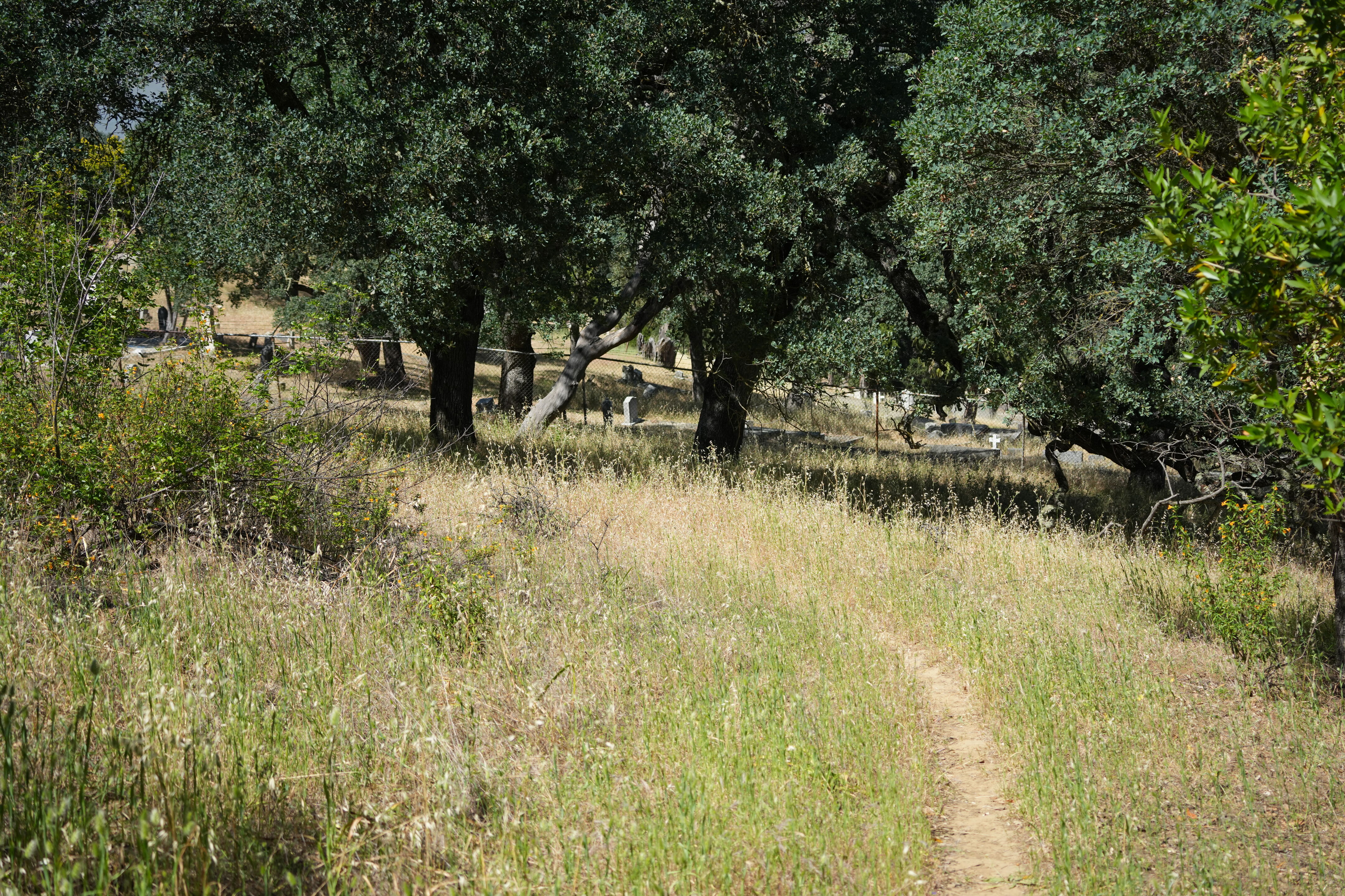 Carquinez Strait Regional Shoreline
