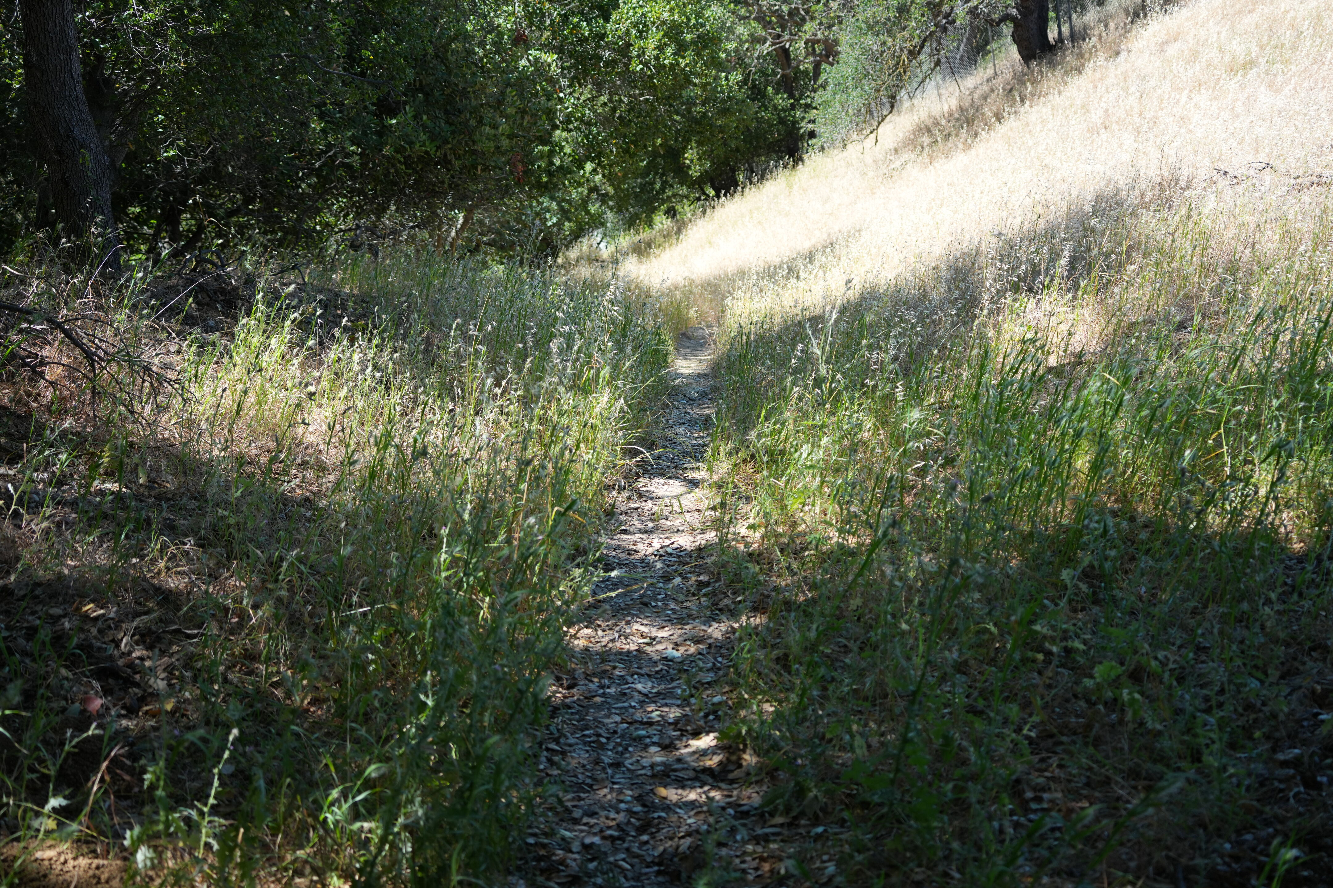Carquinez Strait Regional Shoreline