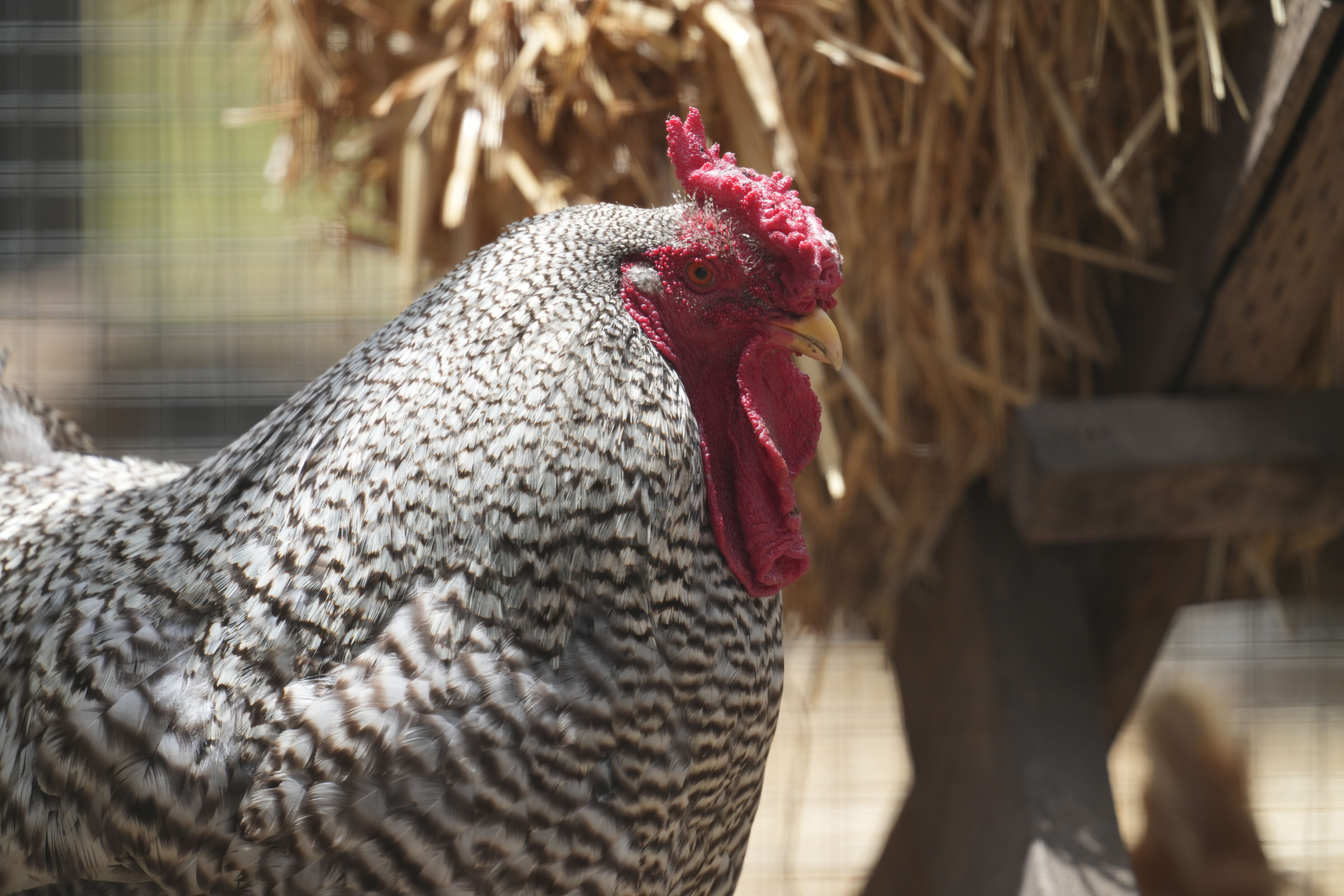 Ardenwood Historic Farm