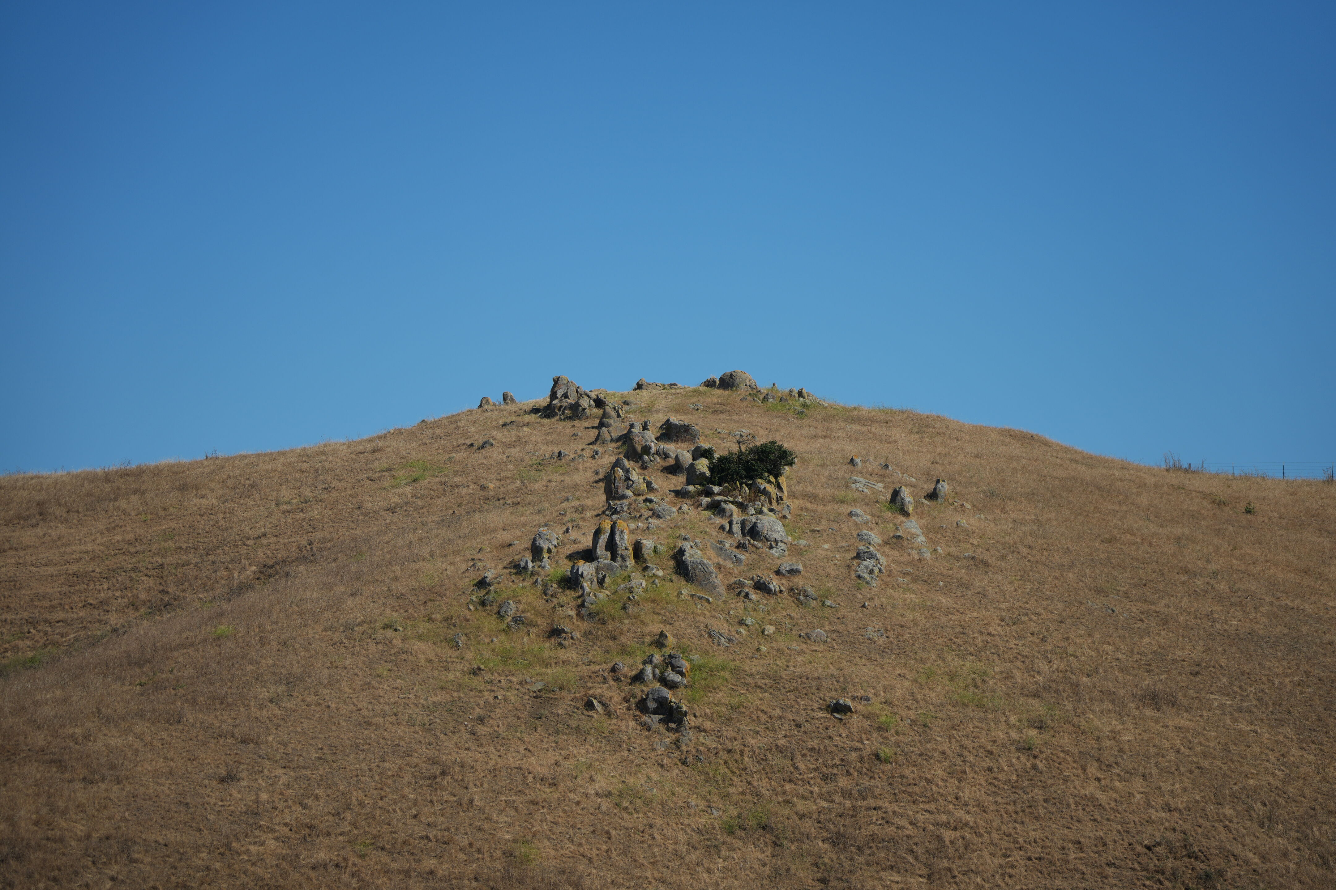 Vargas Plateau Regional Park
