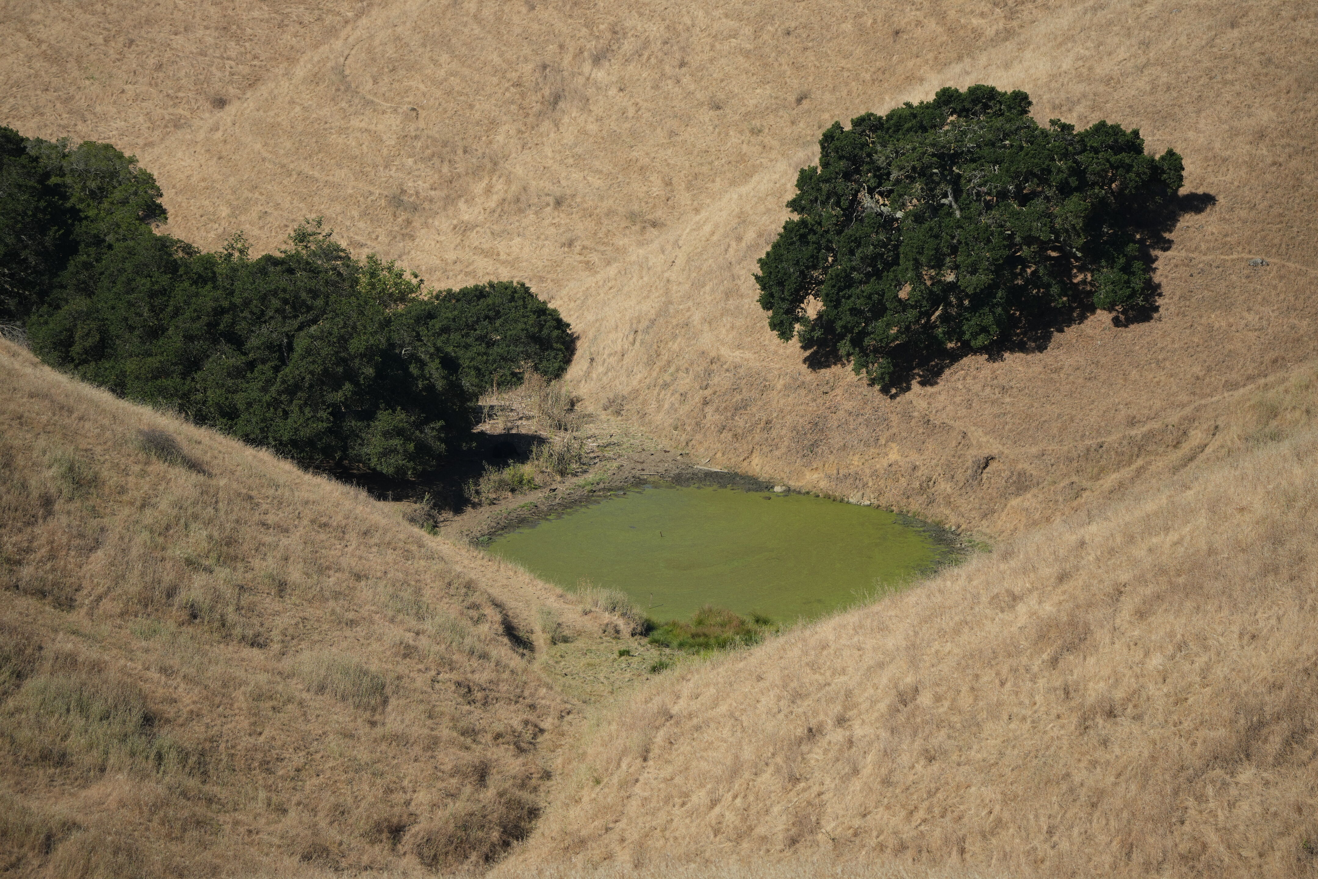 Vargas Plateau Regional Park