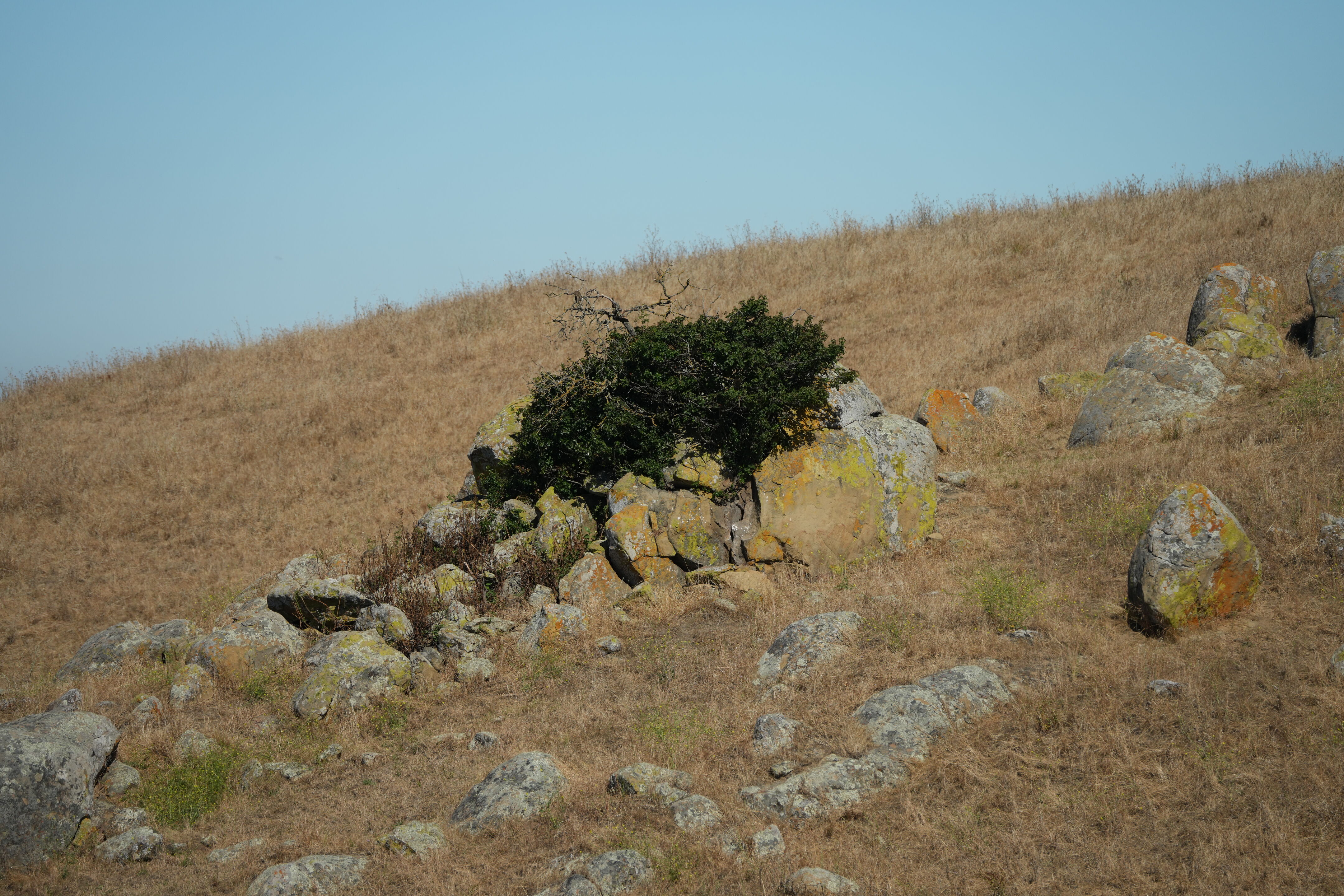 Vargas Plateau Regional Park