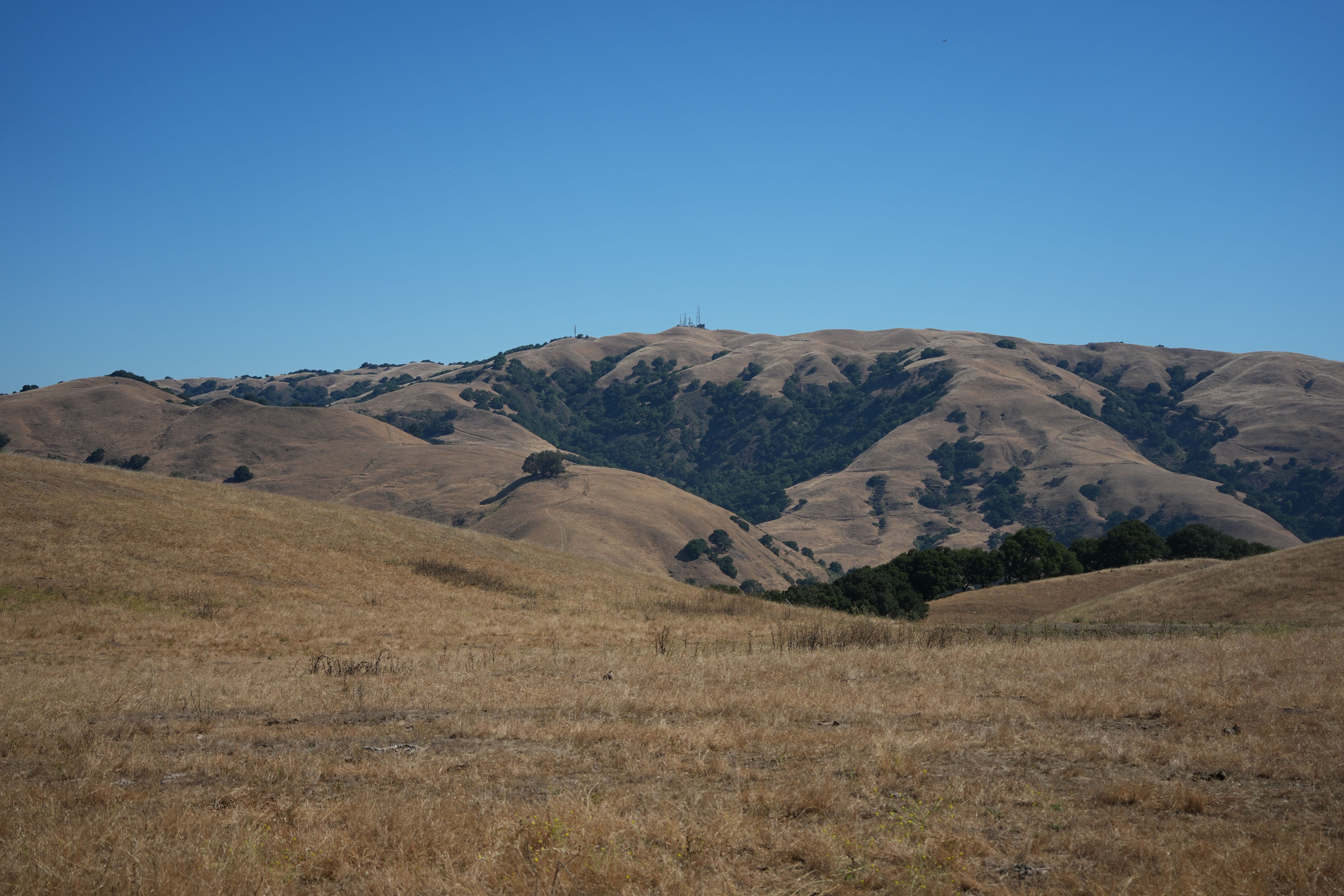 Vargas Plateau Regional Park