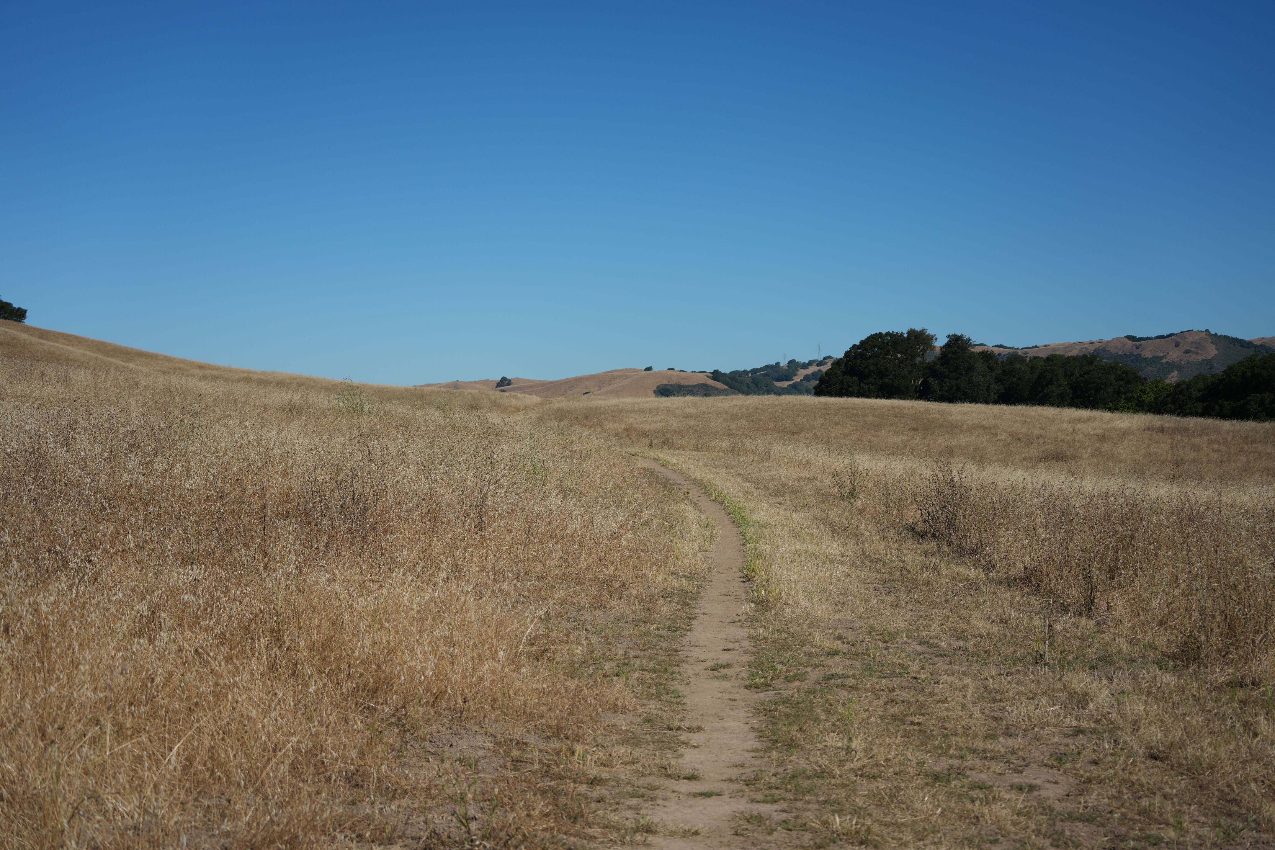 Vargas Plateau Regional Park