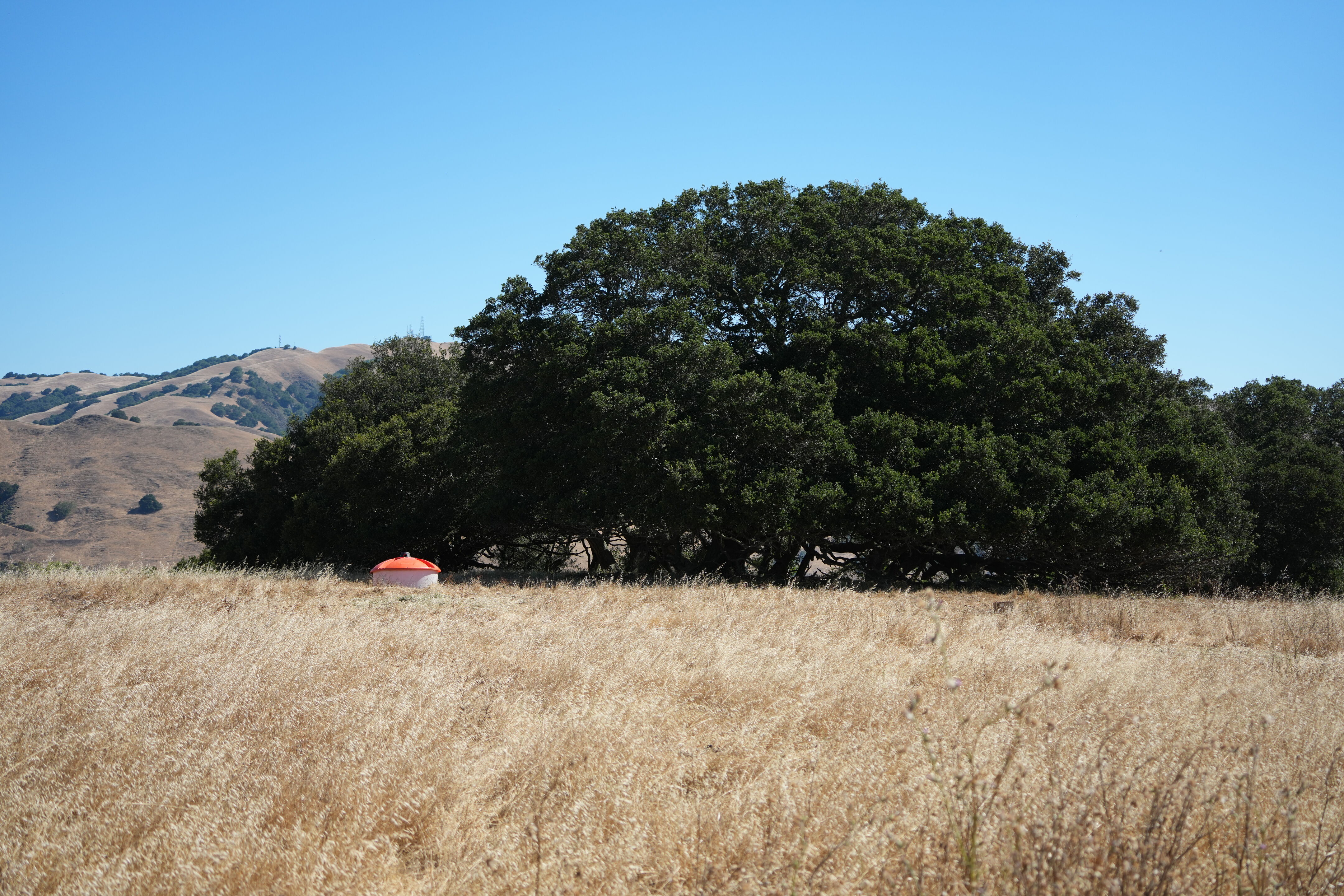 Vargas Plateau Regional Park