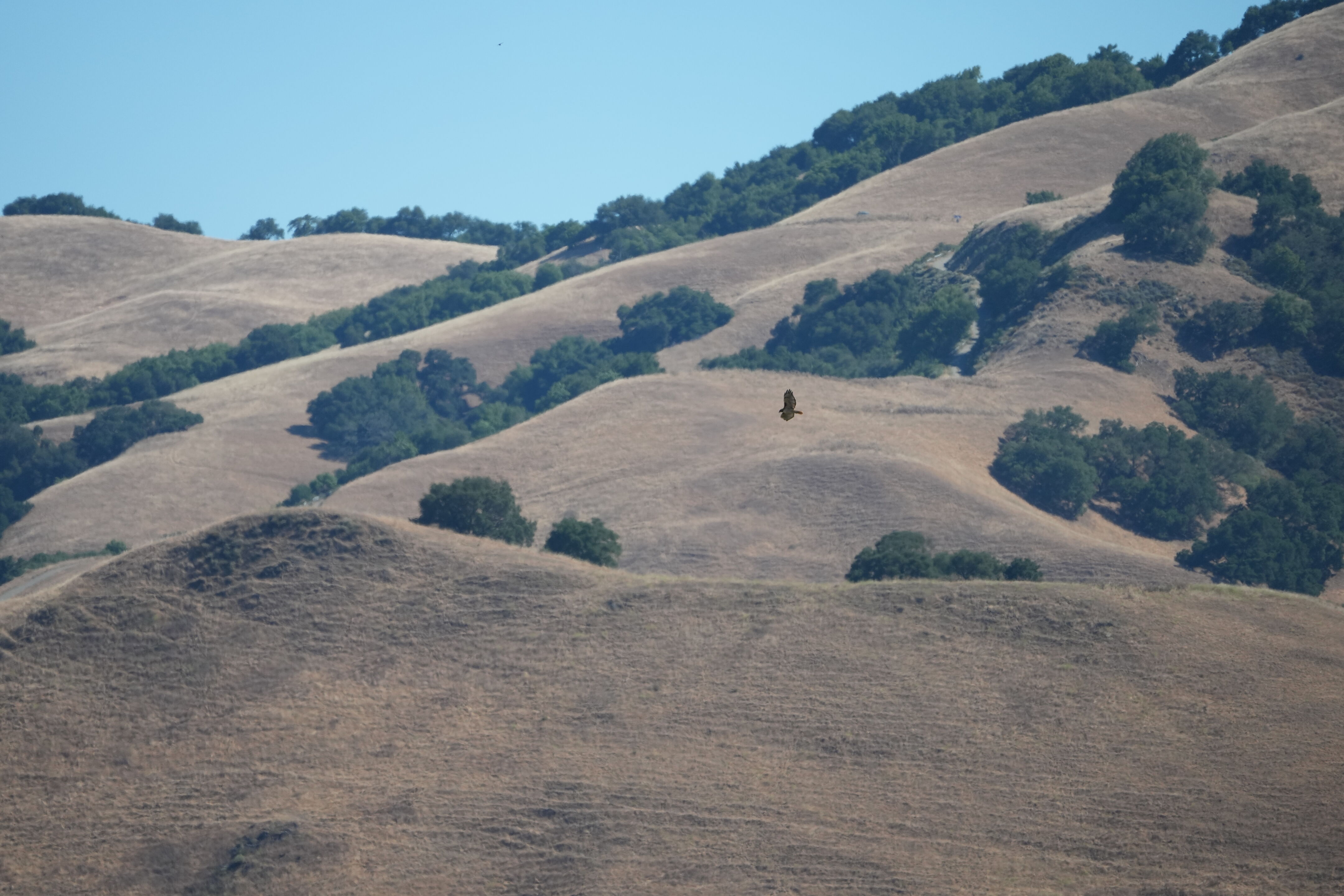 Vargas Plateau Regional Park