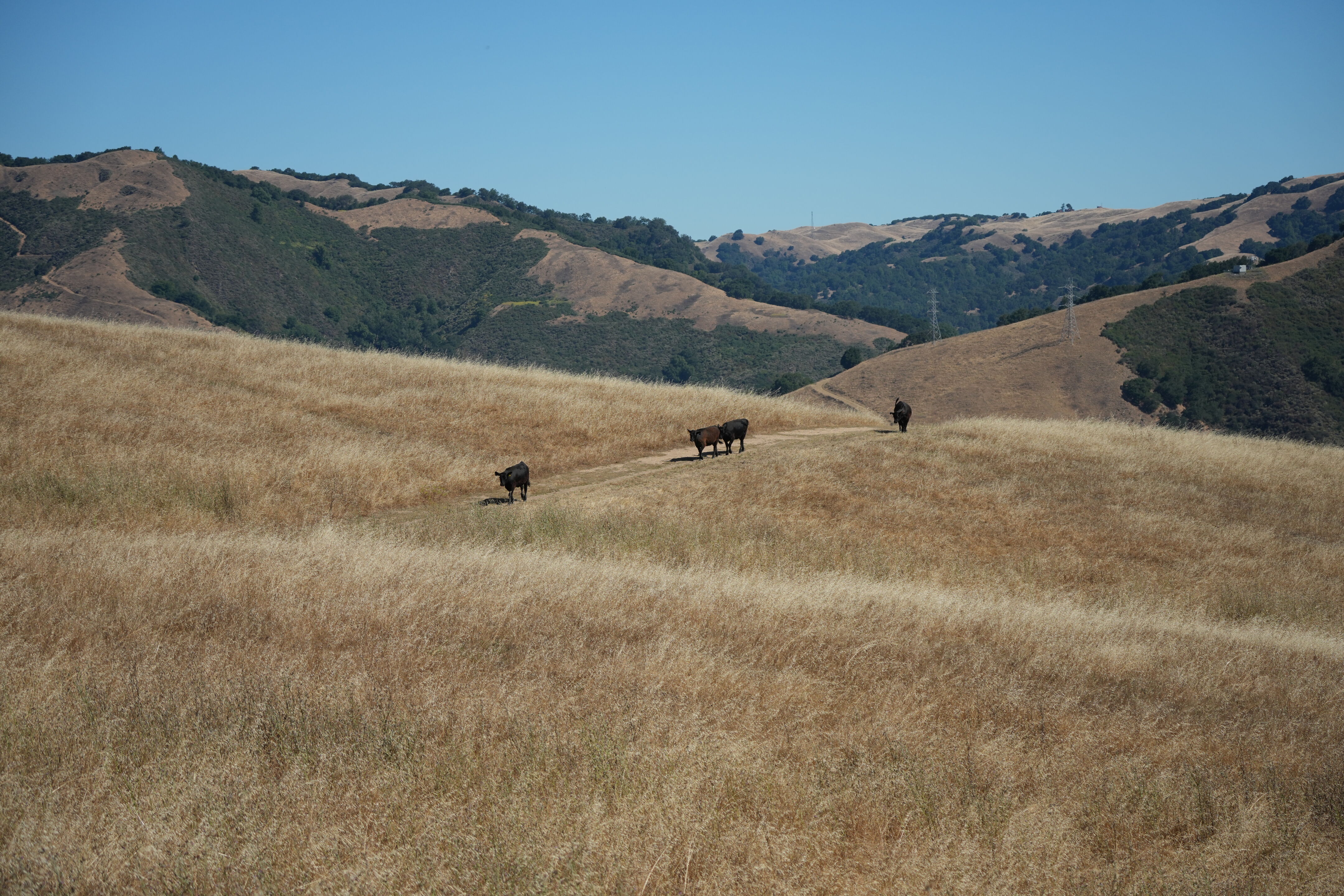 Vargas Plateau Regional Park