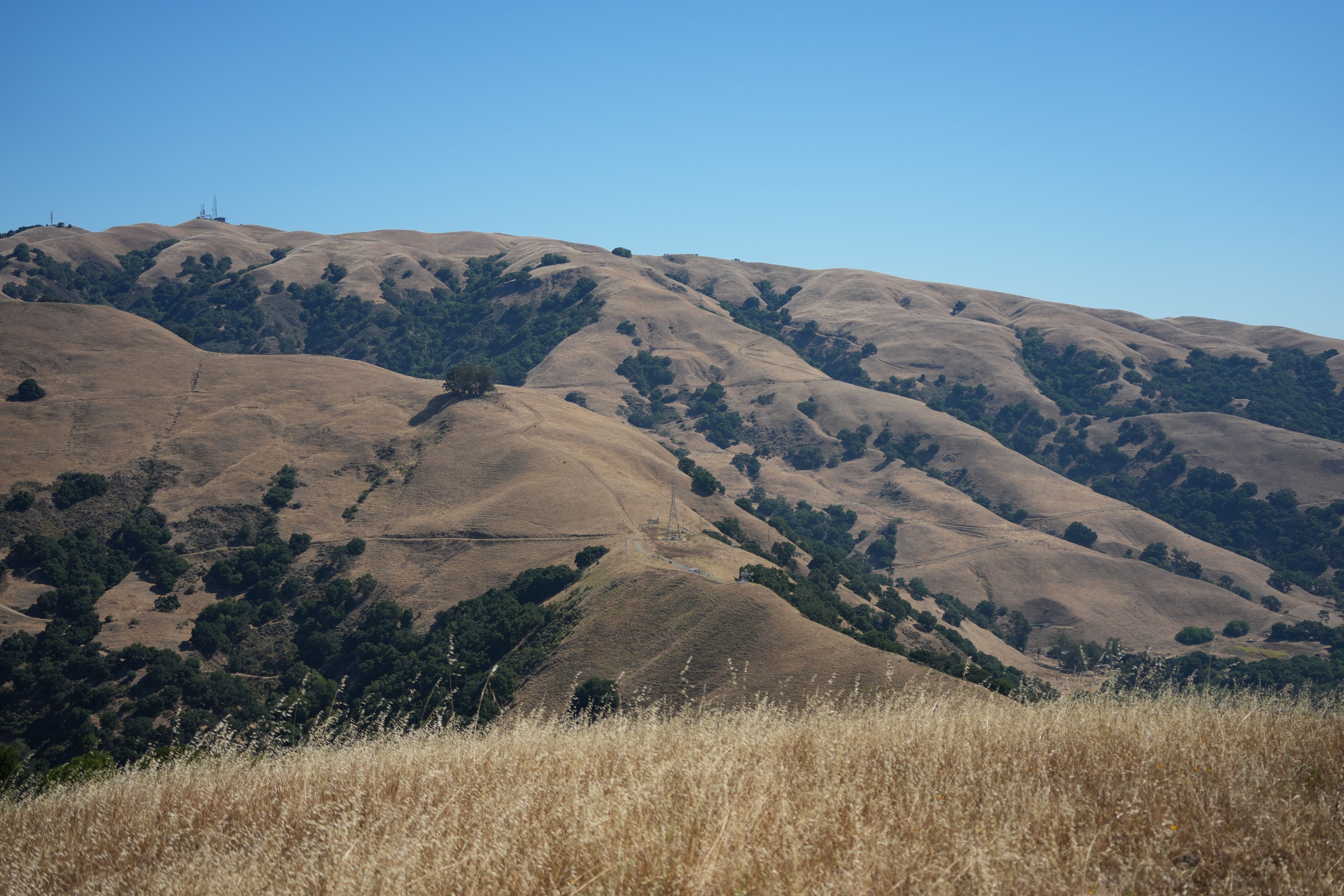 Vargas Plateau Regional Park
