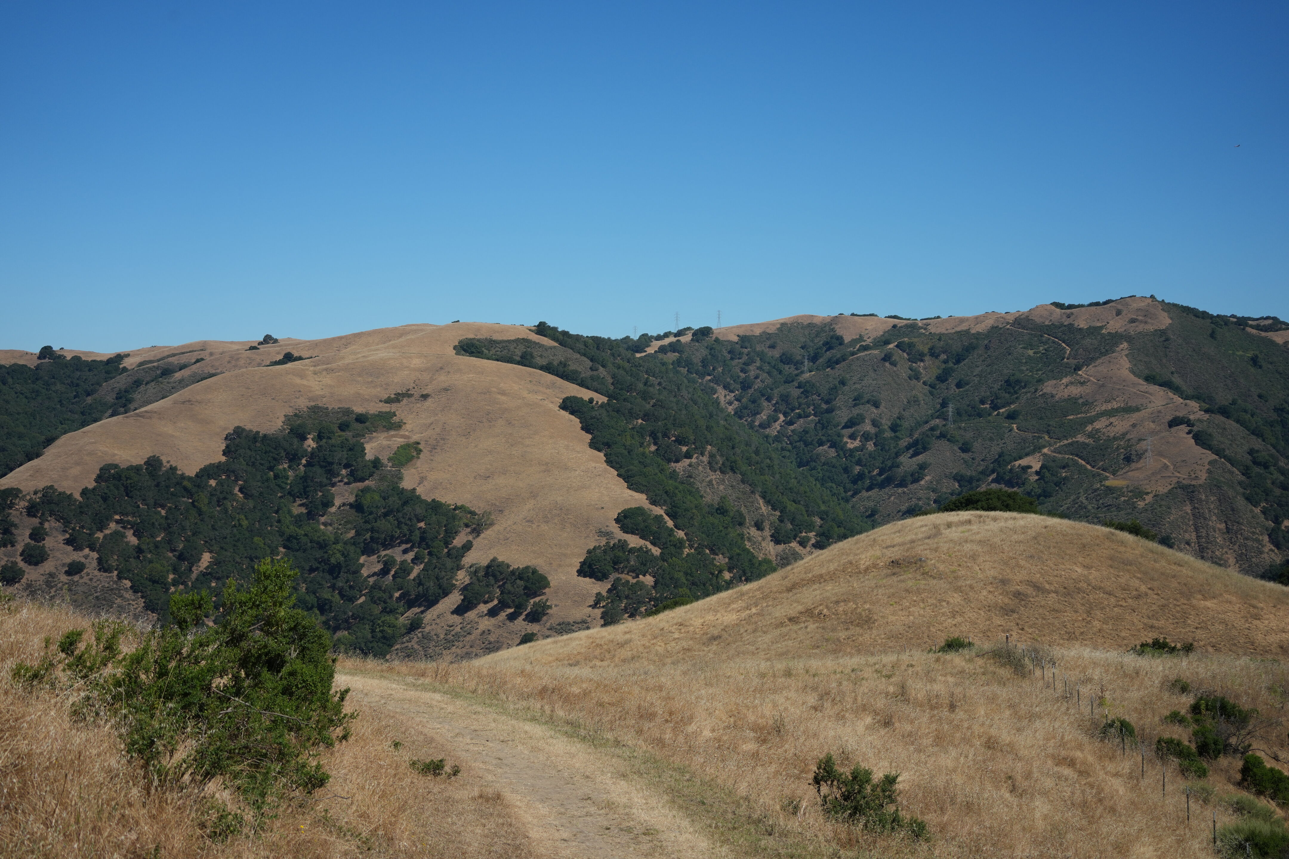 Vargas Plateau Regional Park