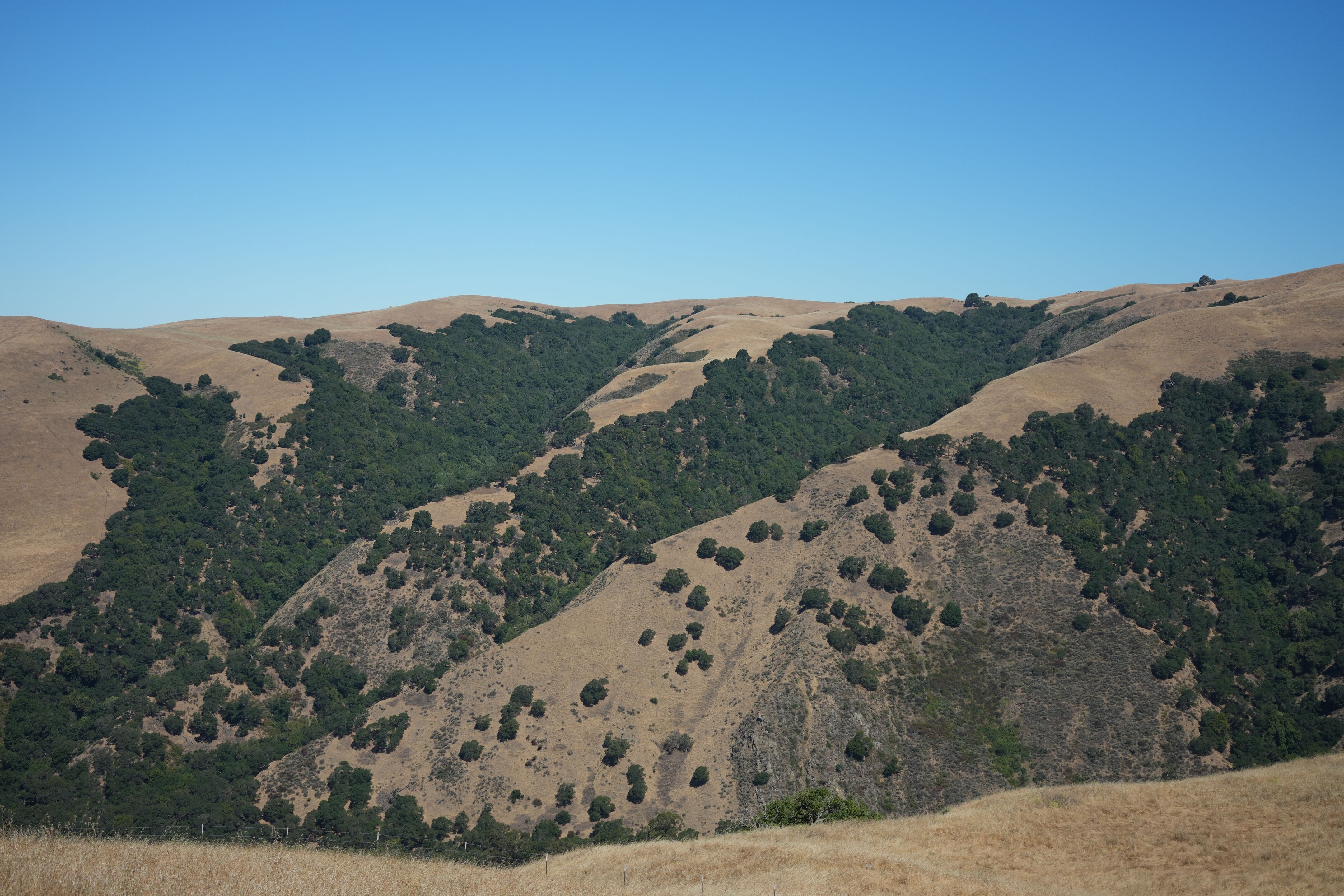 Vargas Plateau Regional Park