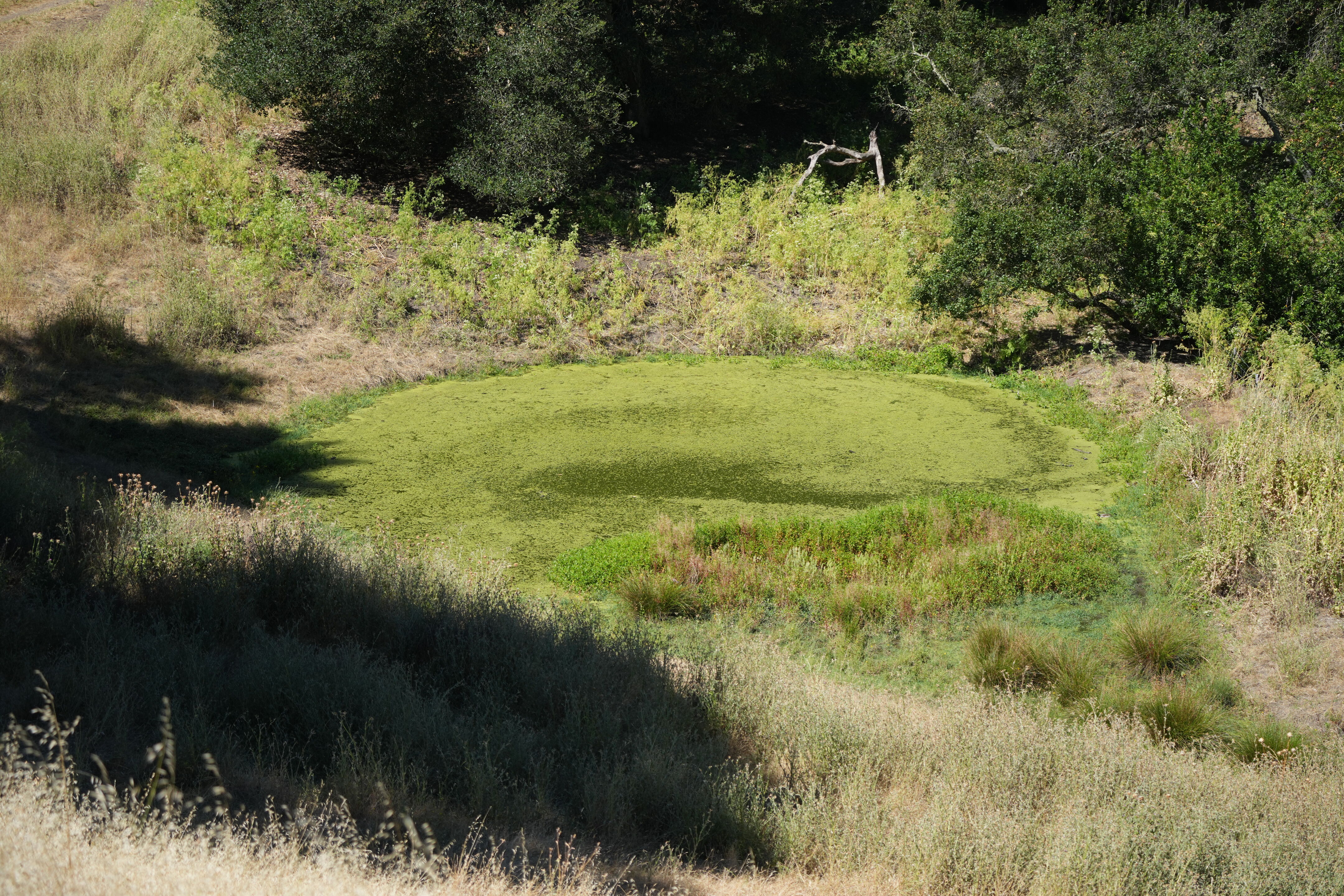 Vargas Plateau Regional Park