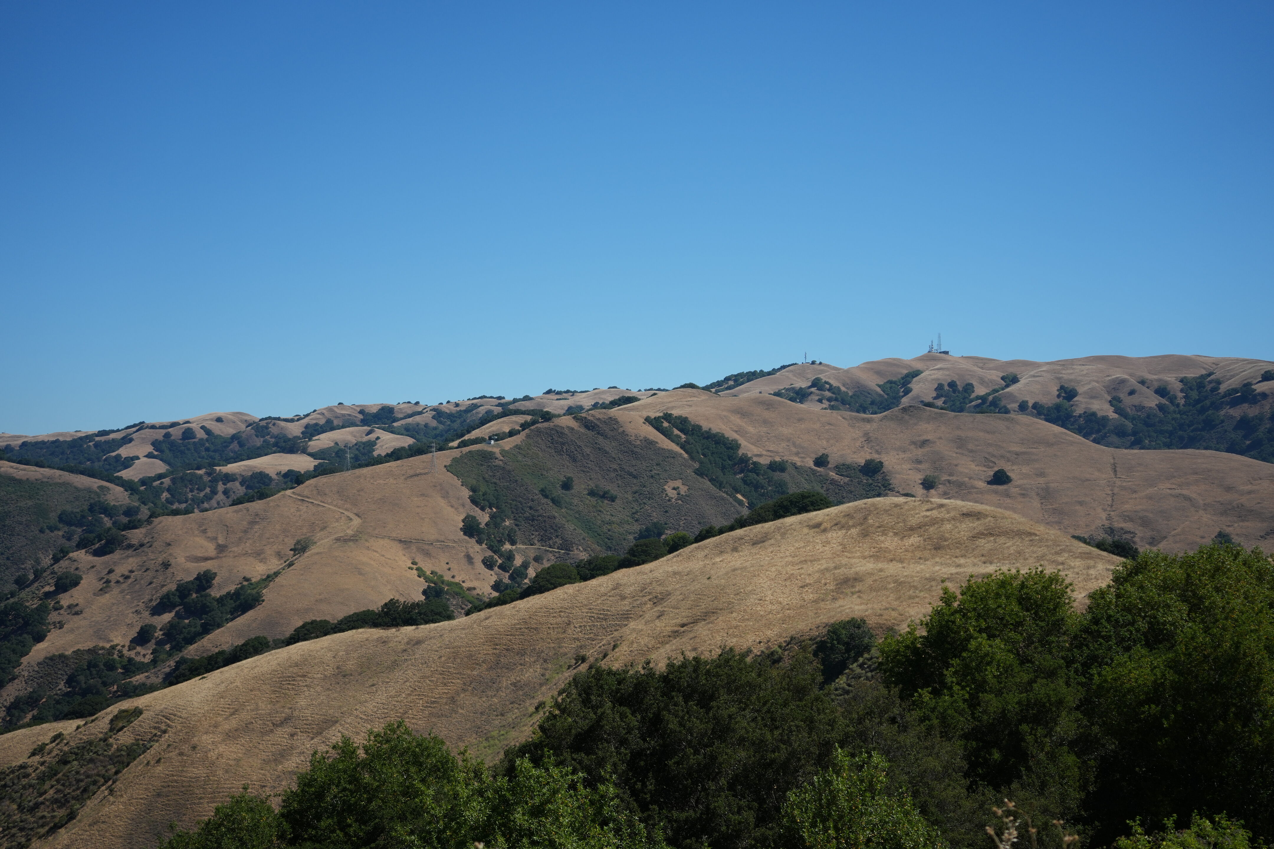 Vargas Plateau Regional Park