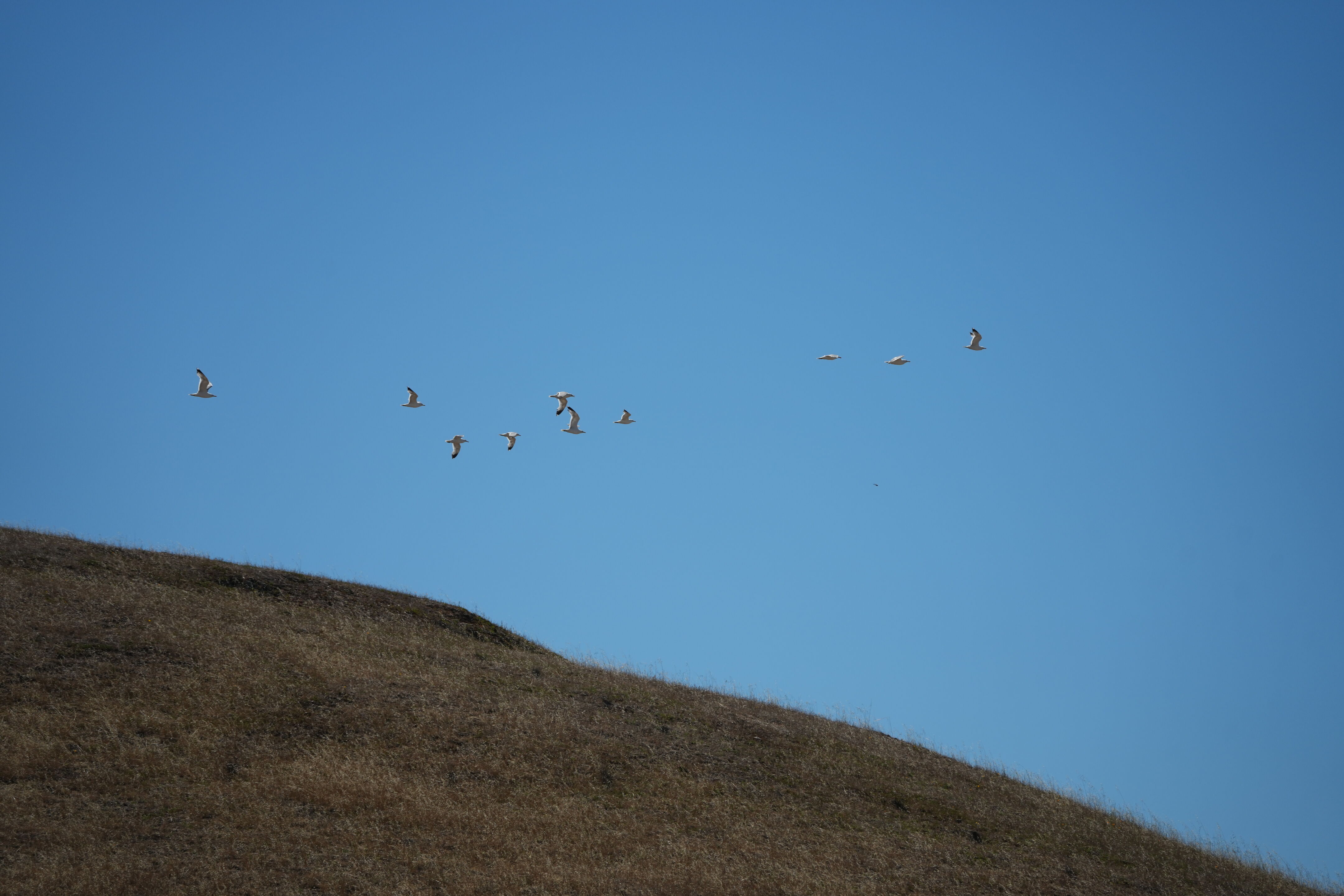 Vargas Plateau Regional Park