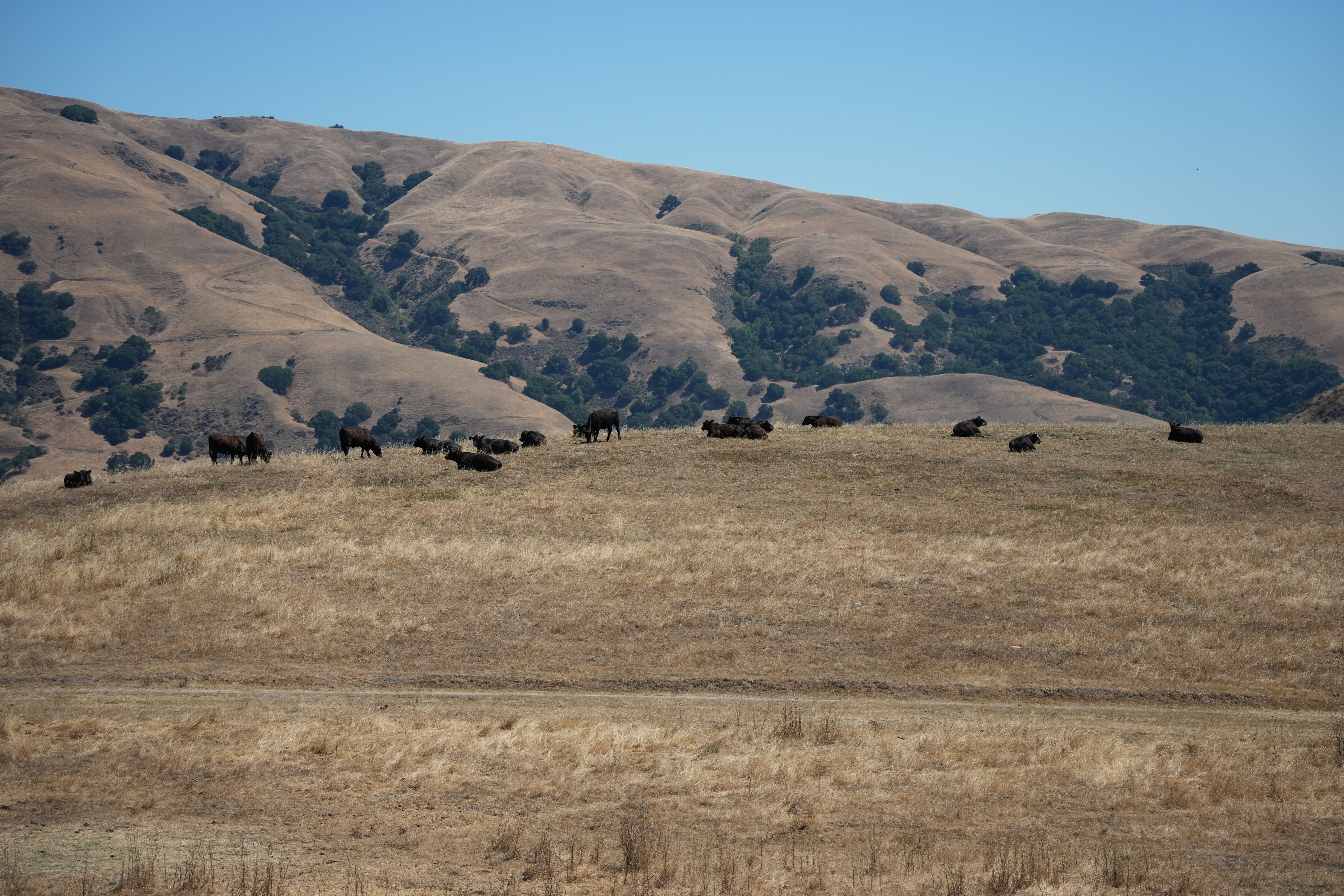 Vargas Plateau Regional Park