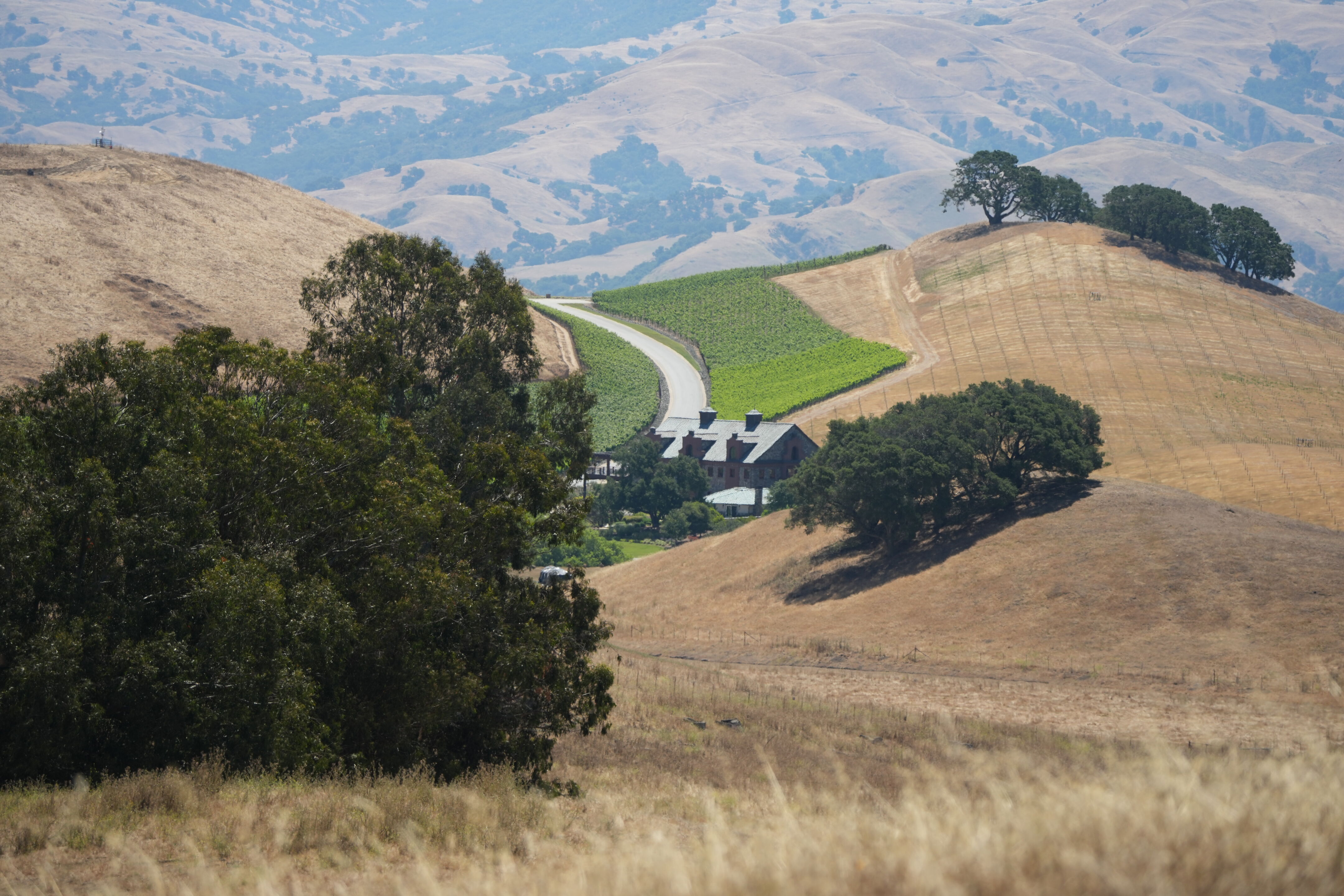 Vargas Plateau Regional Park