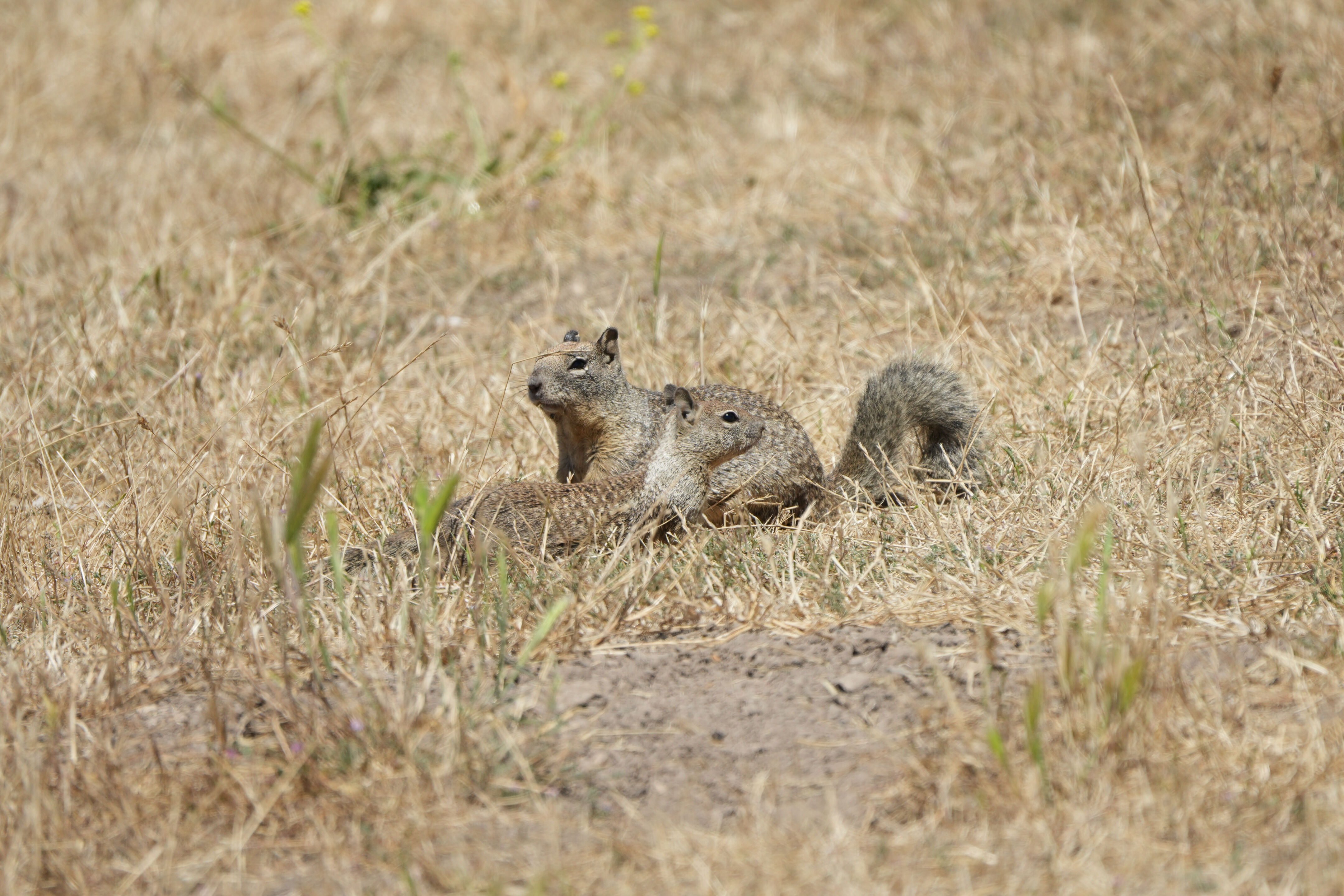 Vargas Plateau Regional Park