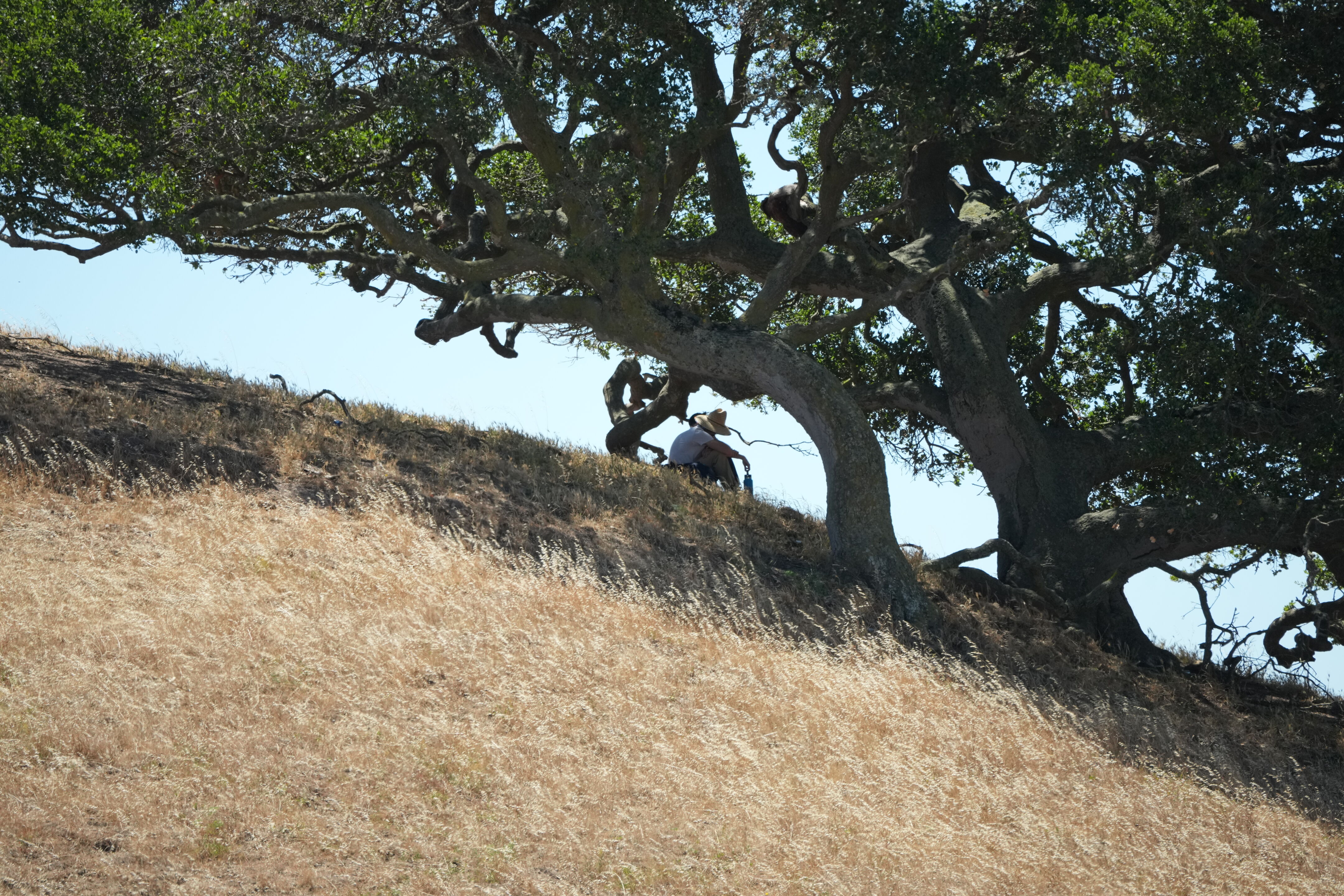 Vargas Plateau Regional Park