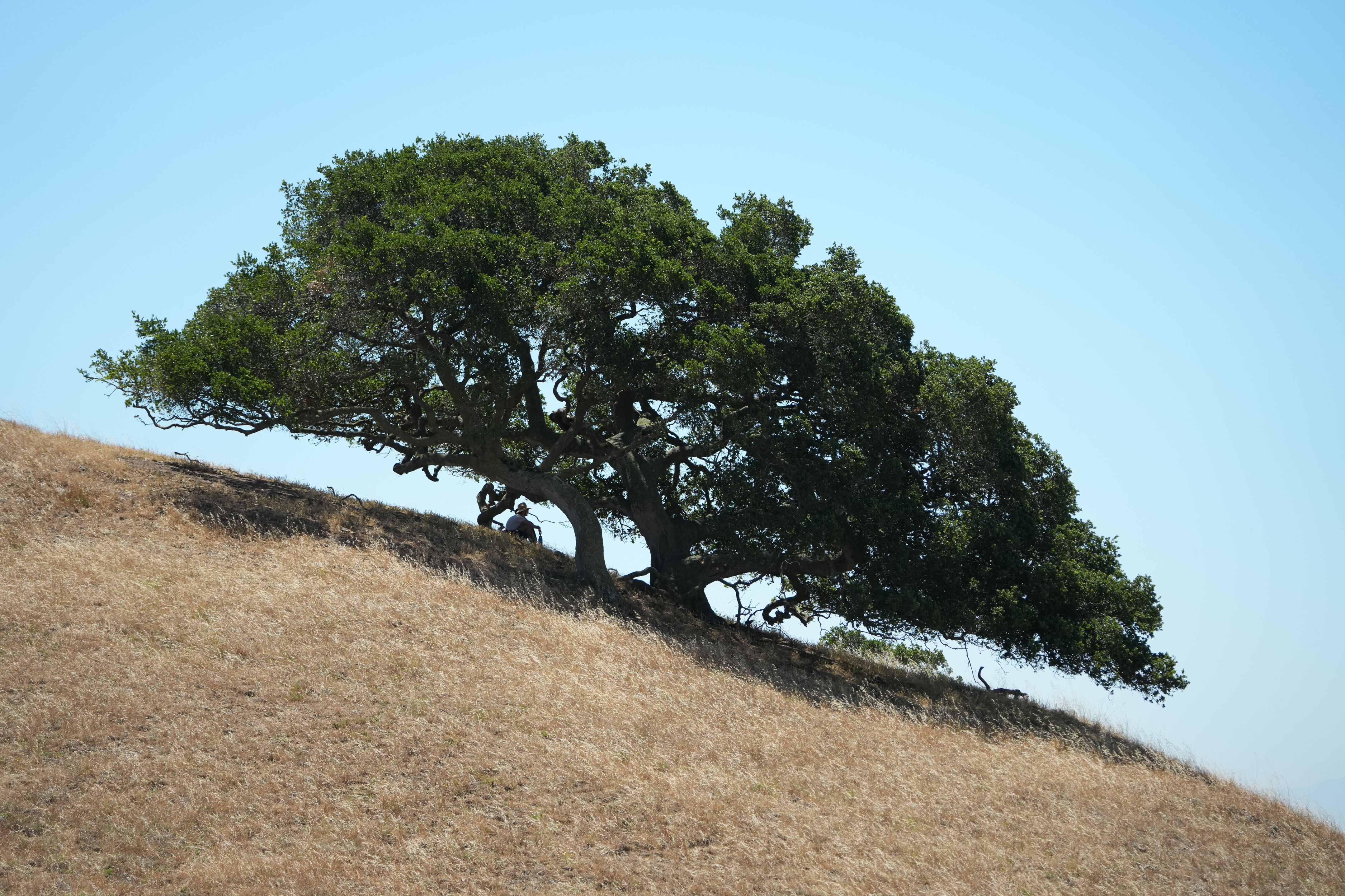 Vargas Plateau Regional Park