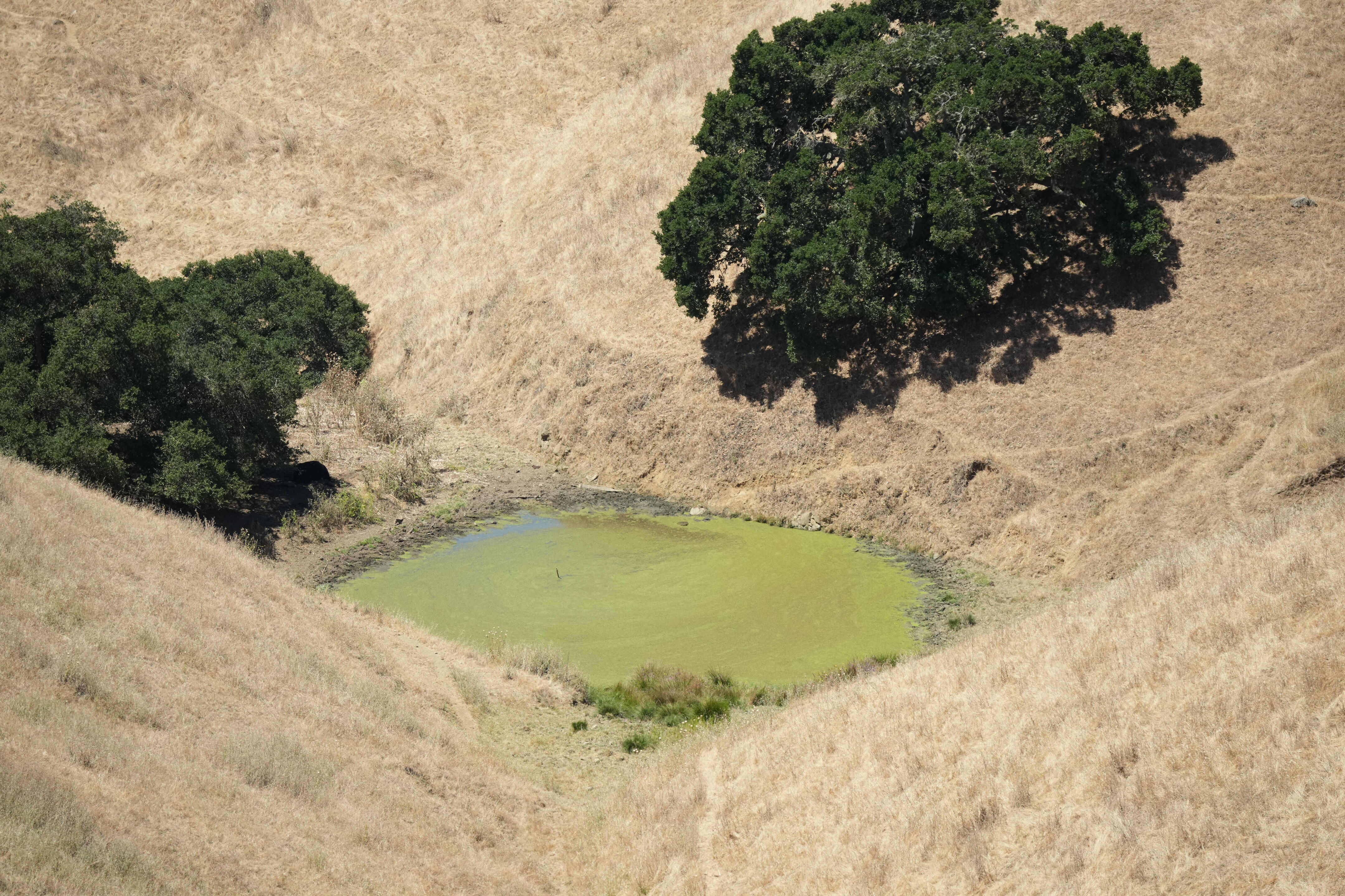 Vargas Plateau Regional Park