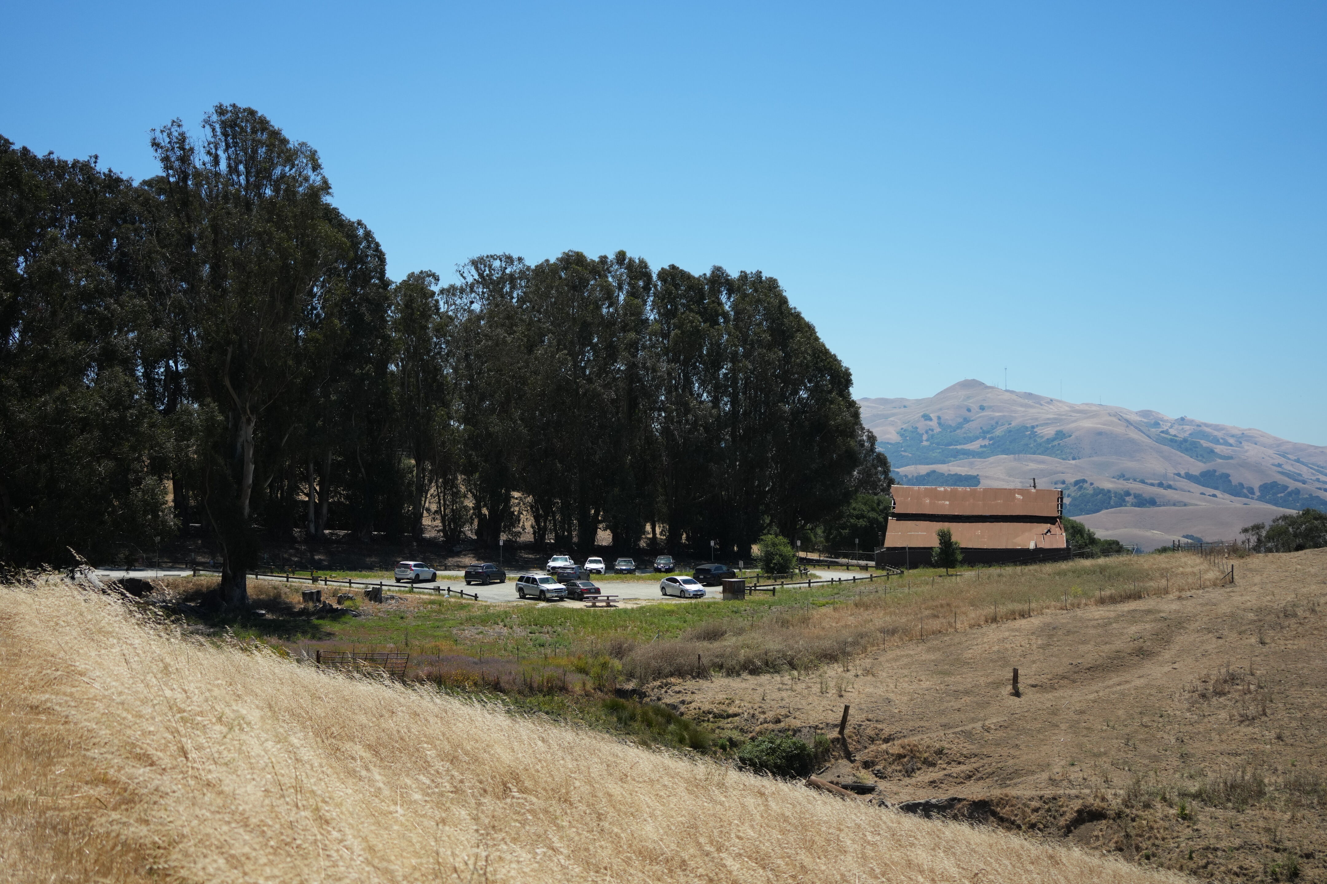 Vargas Plateau Regional Park