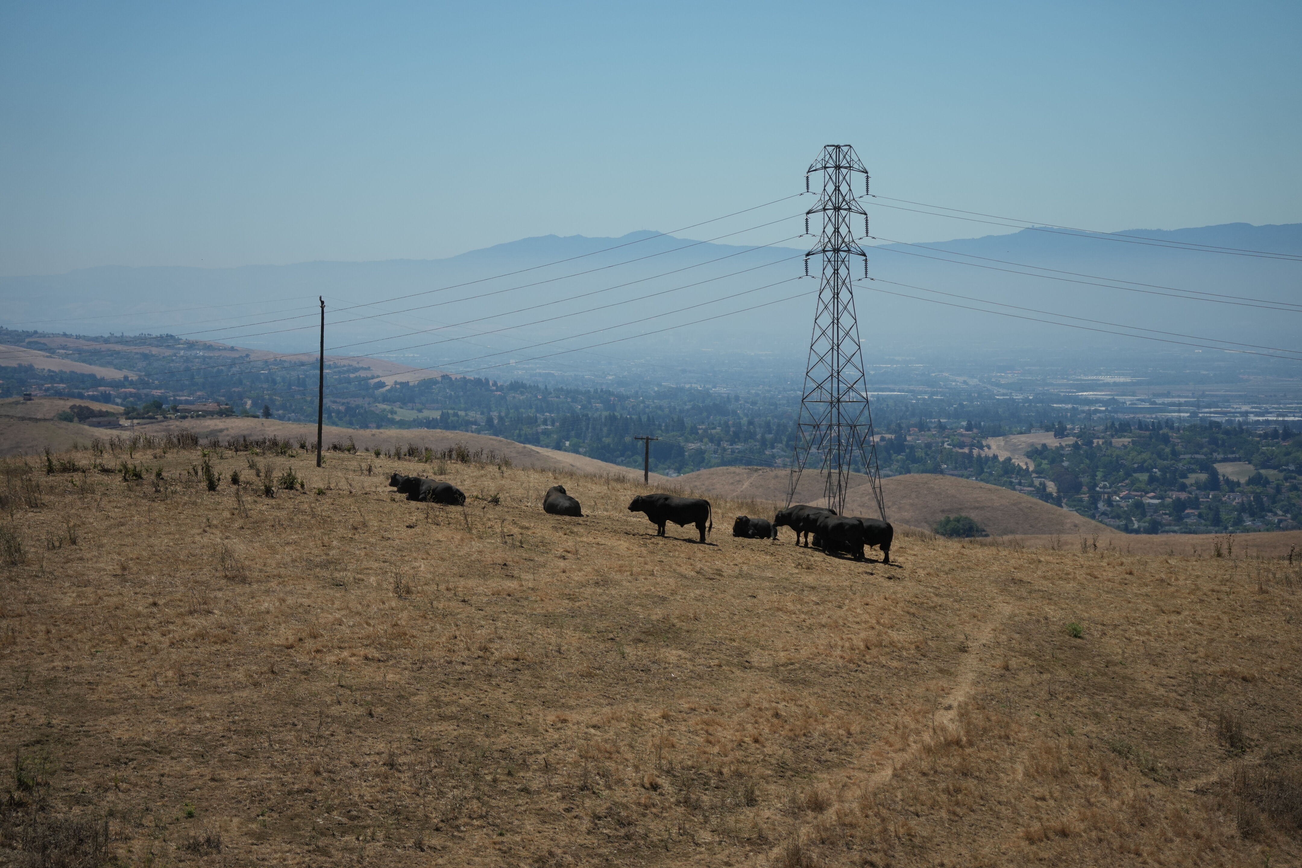 Vargas Plateau Regional Park