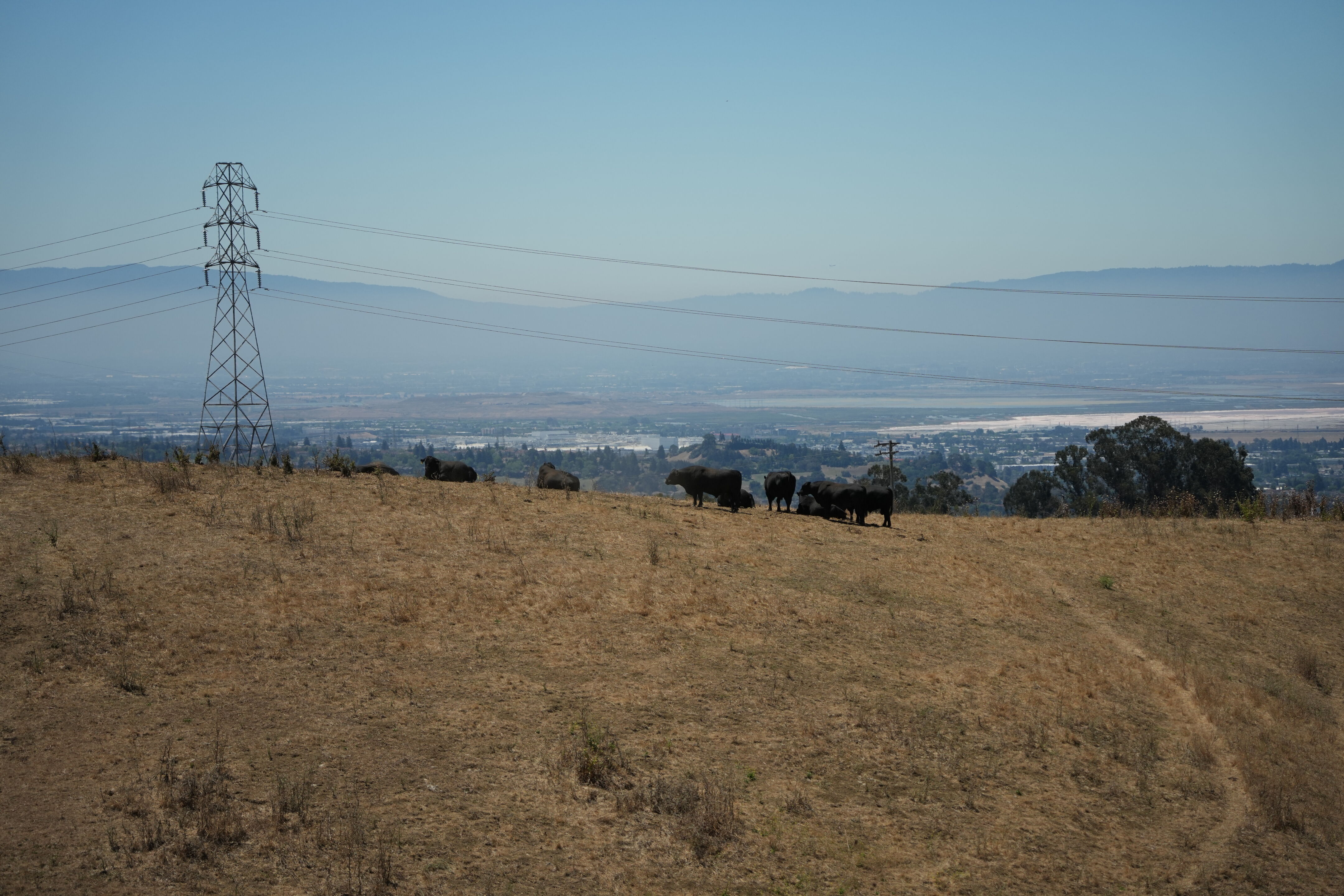 Vargas Plateau Regional Park