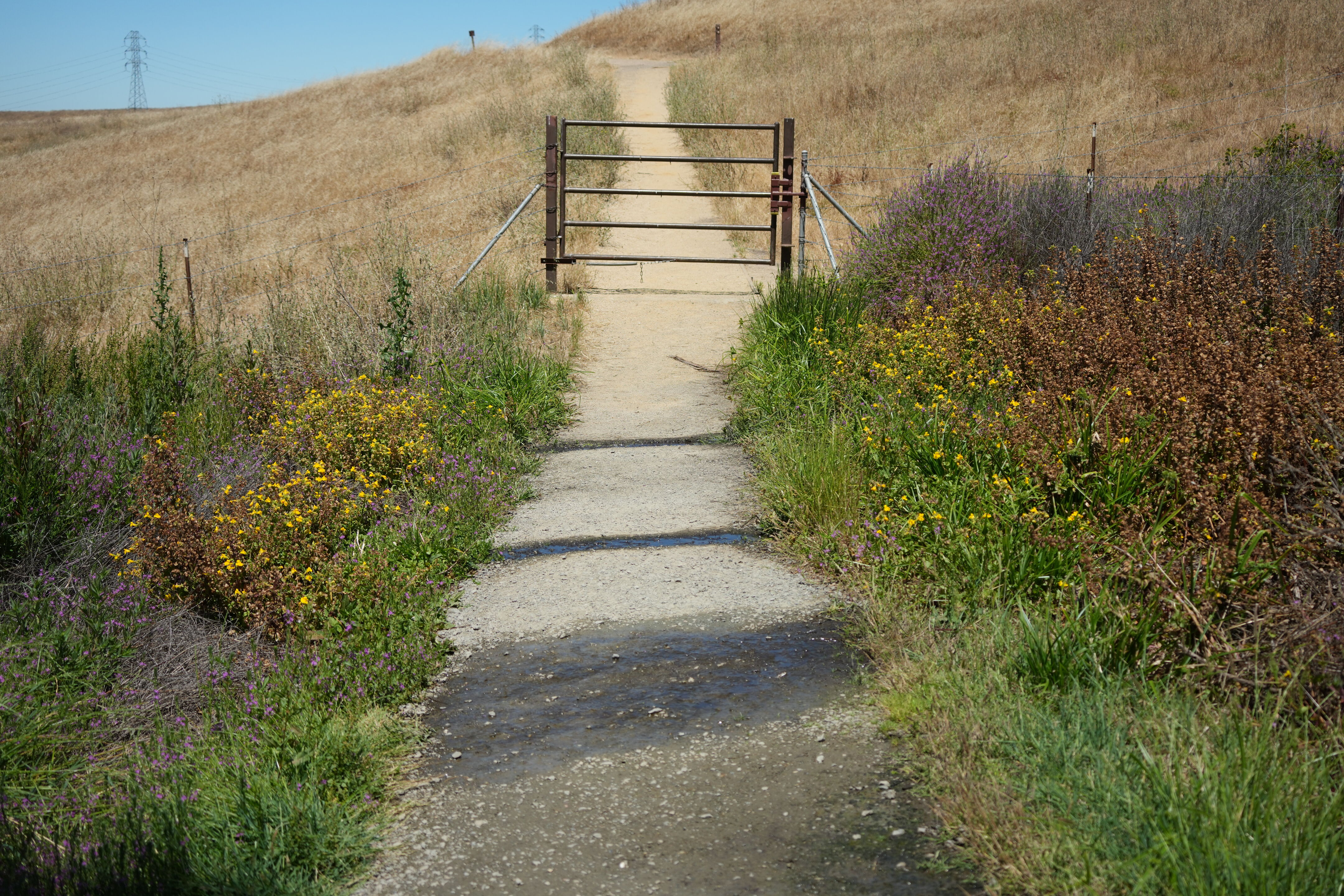 Vargas Plateau Regional Park
