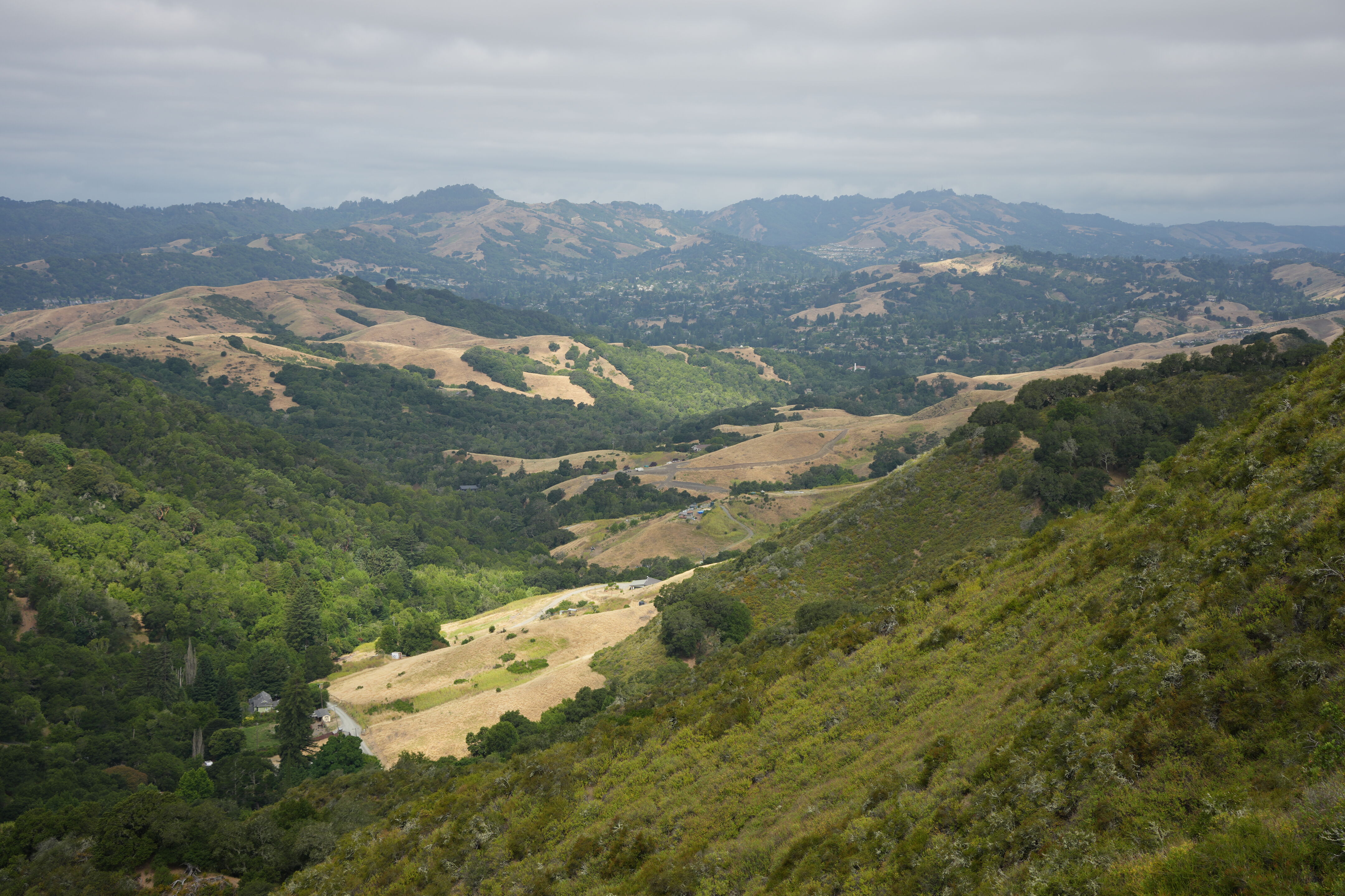 Las Trampas Wilderness Regional Preserve