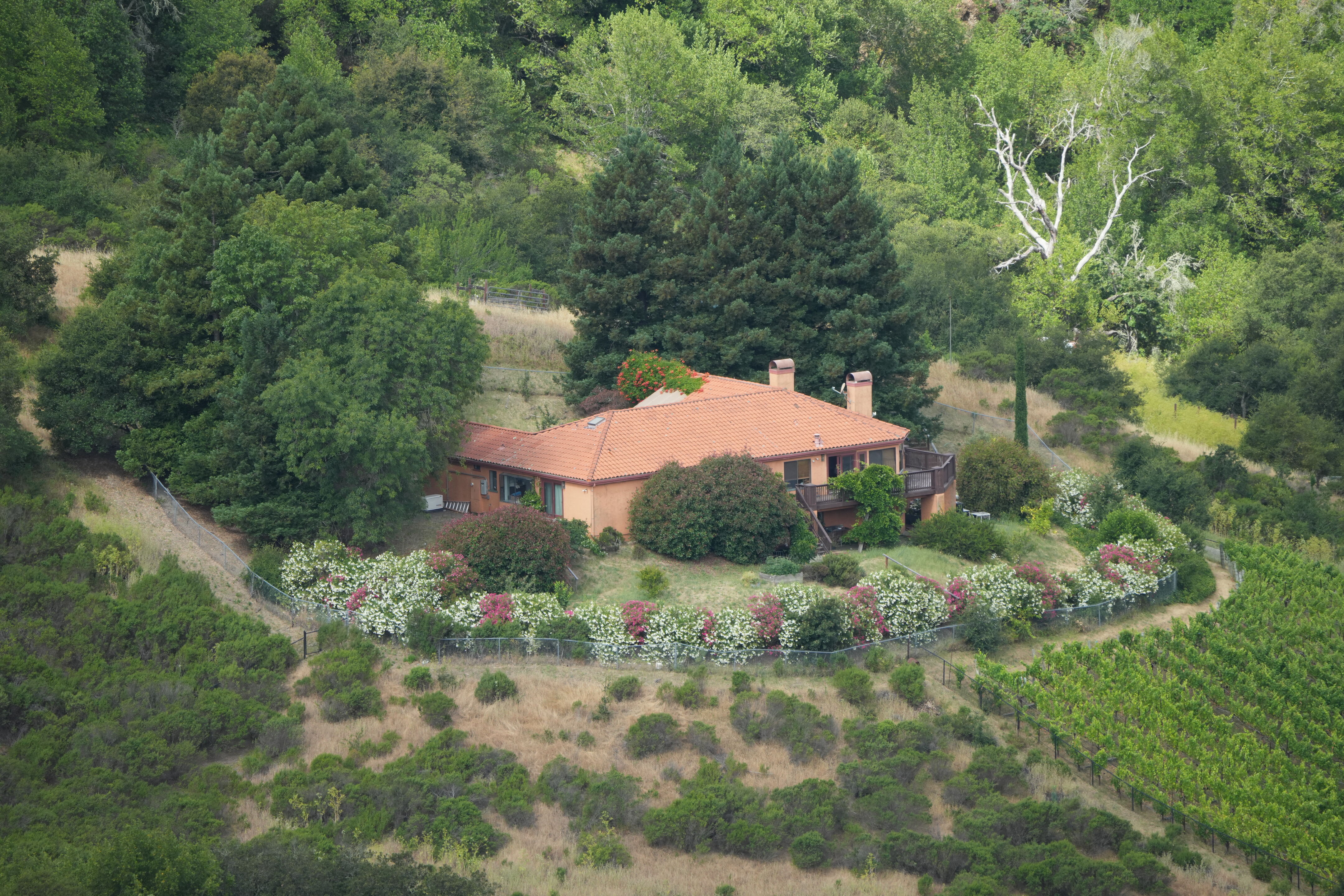 Las Trampas Wilderness Regional Preserve