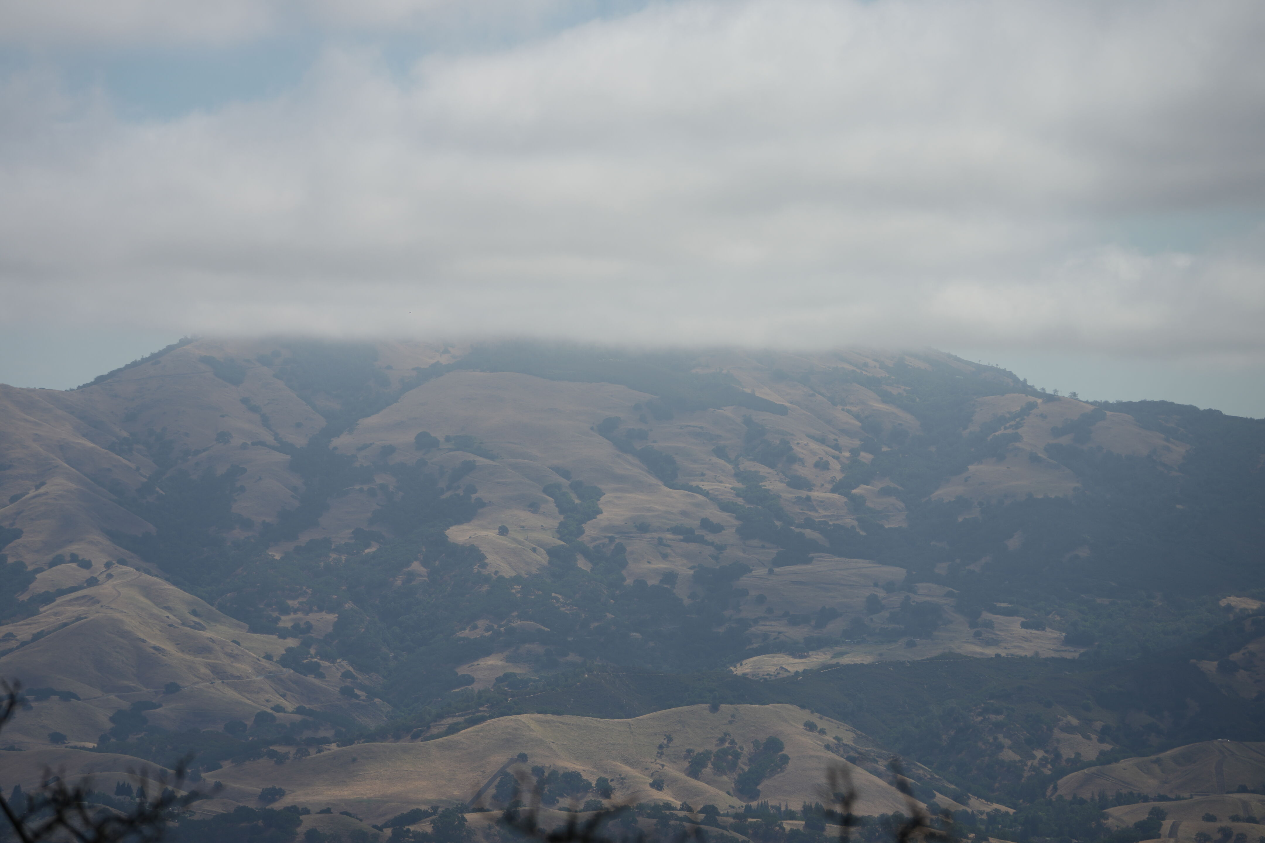 Las Trampas Wilderness Regional Preserve