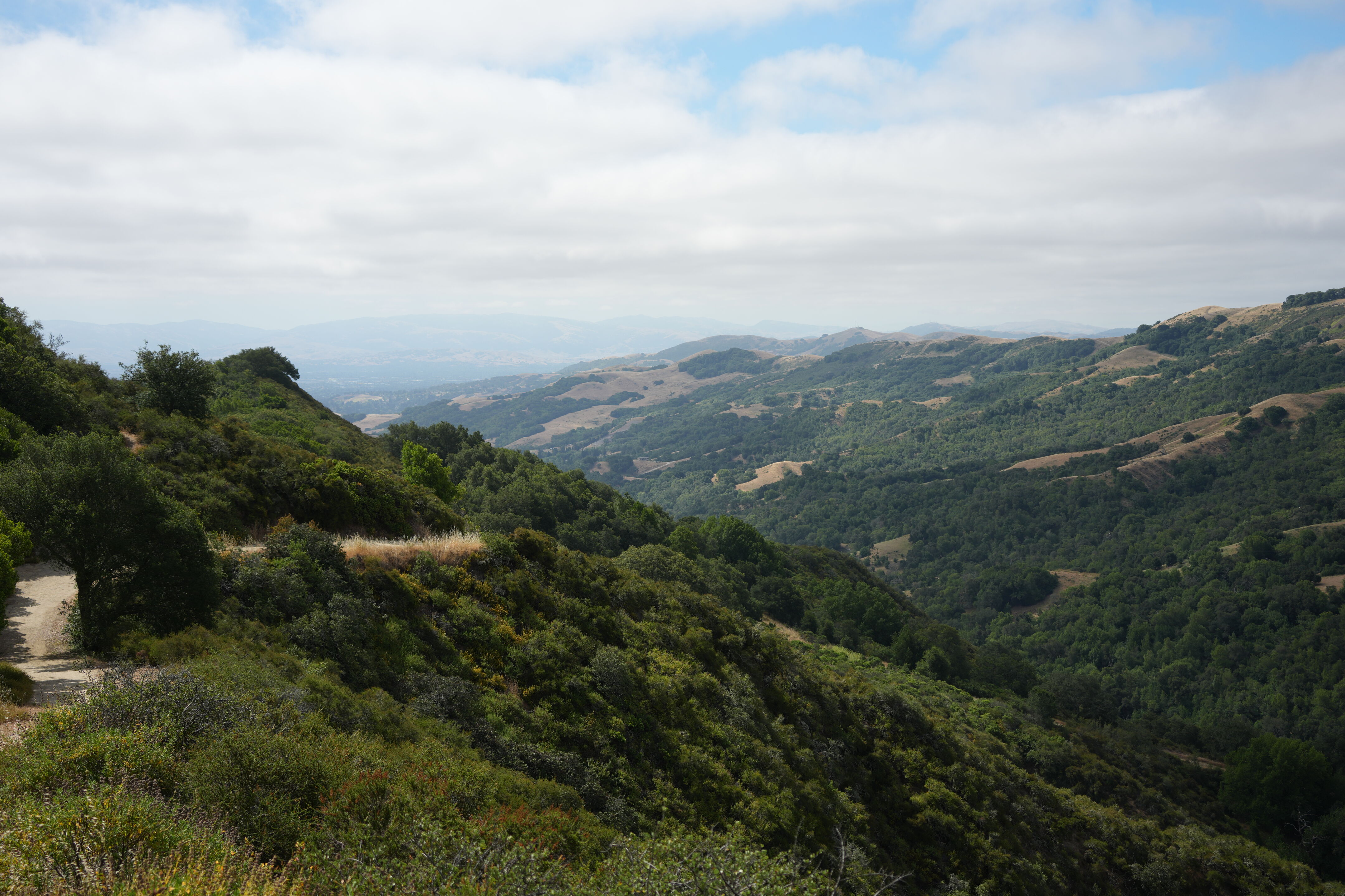 Las Trampas Wilderness Regional Preserve
